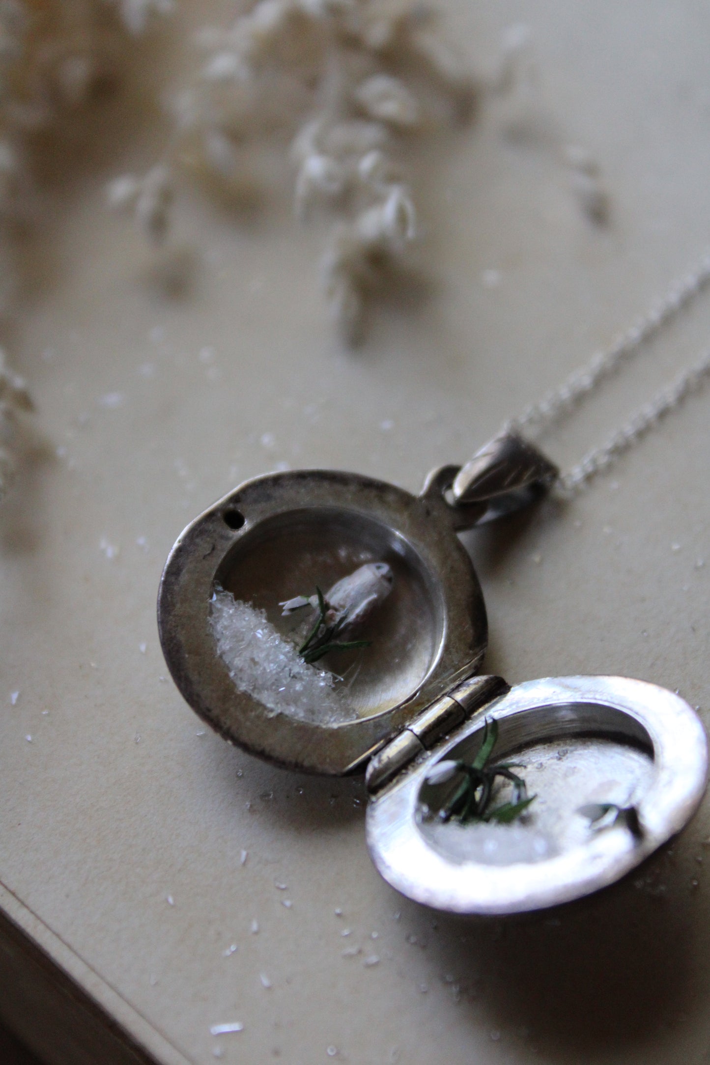 Barn Owl & Snowdrops III | Vintage Locket