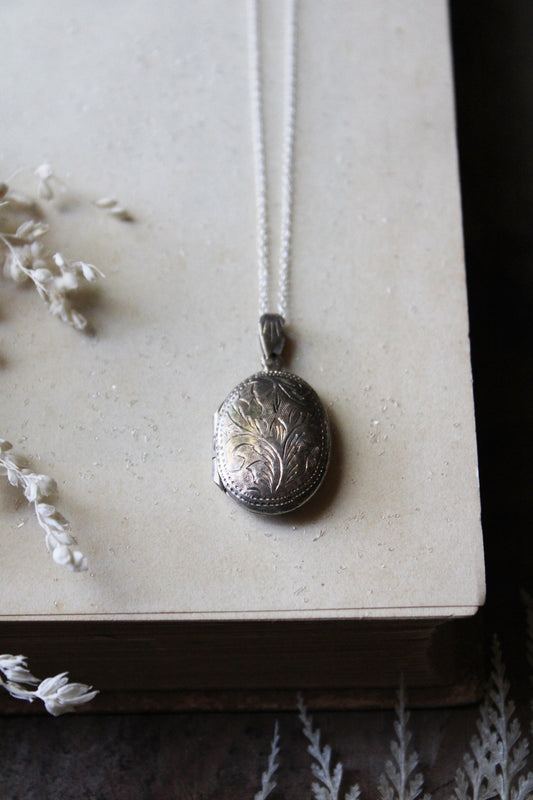 Barn Owl & Snowdrops IV | Vintage Locket