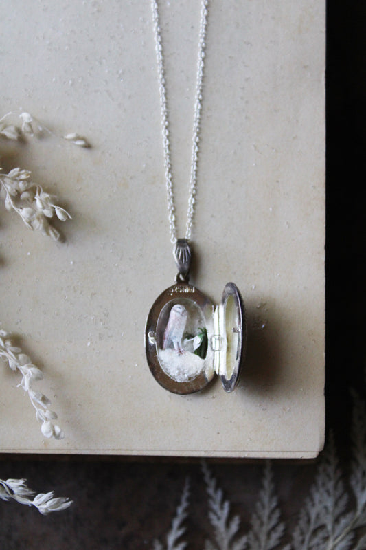 Barn Owl & Snowdrops IV | Vintage Locket