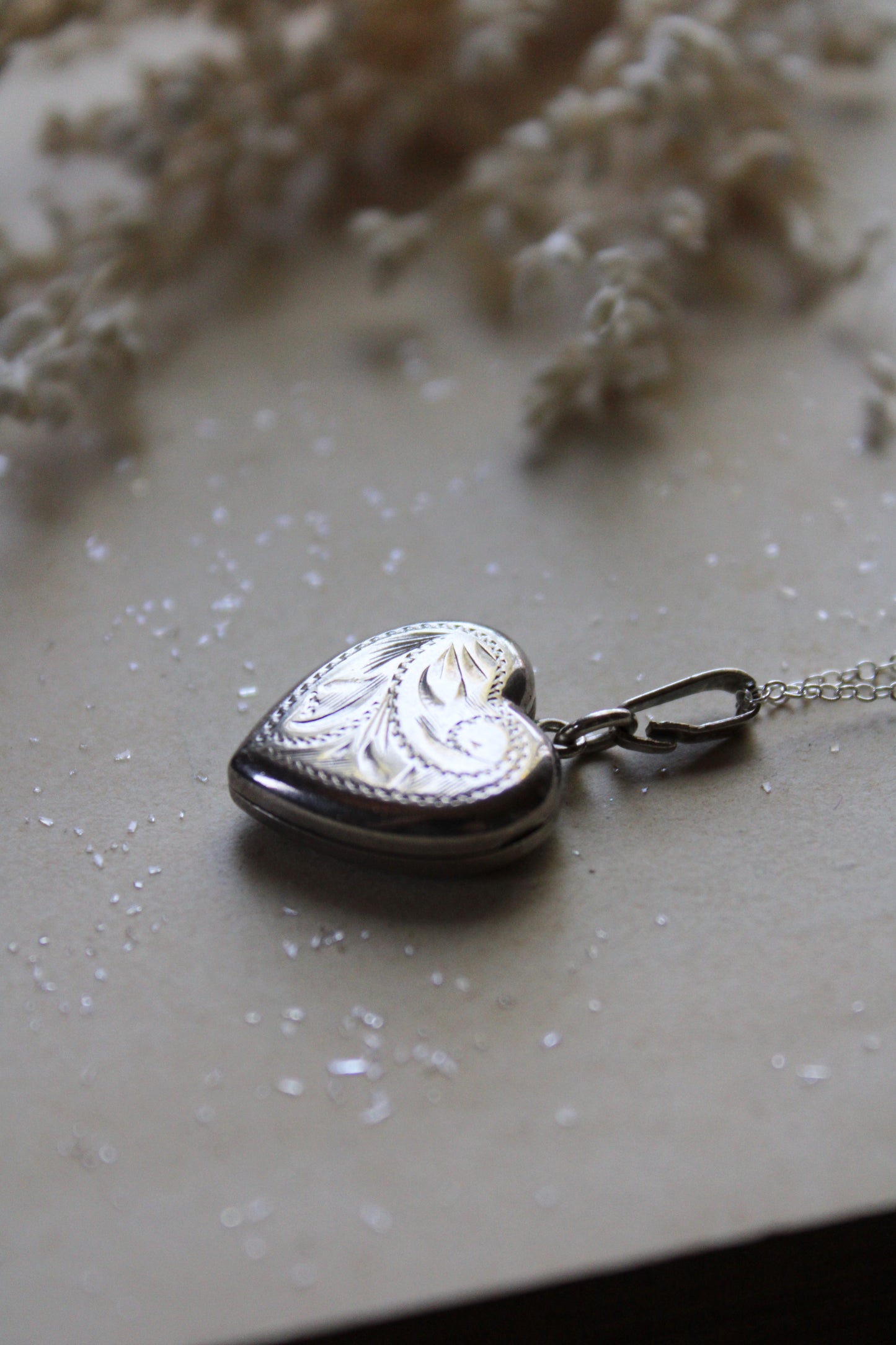 Barn Owl & Snowdrops V | Vintage Locket