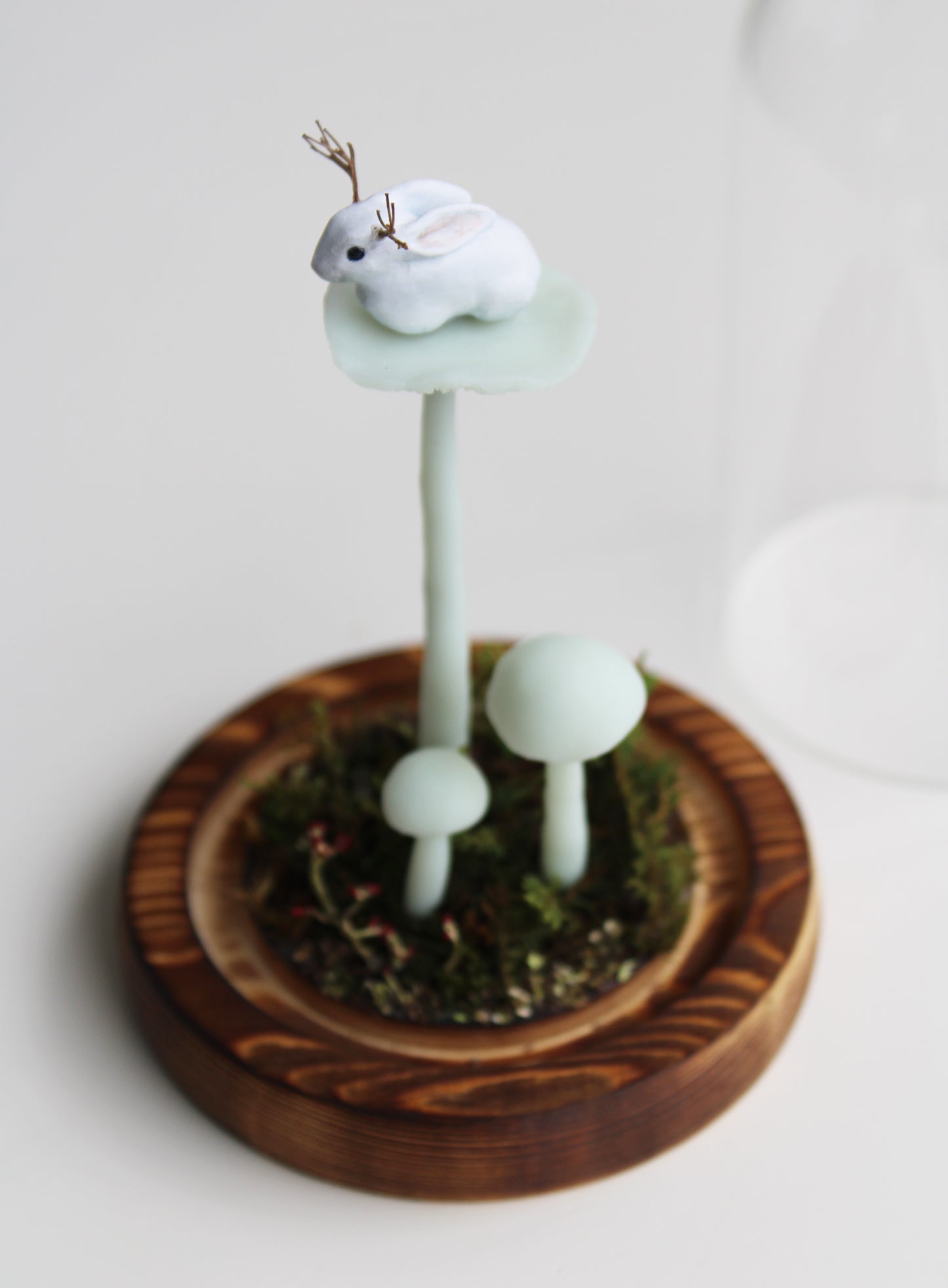 The Mushroom Jackalope | Glass Domed Sculpture