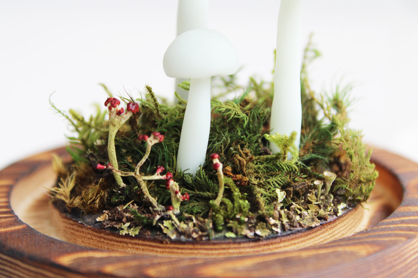The Mushroom Jackalope | Glass Domed Sculpture