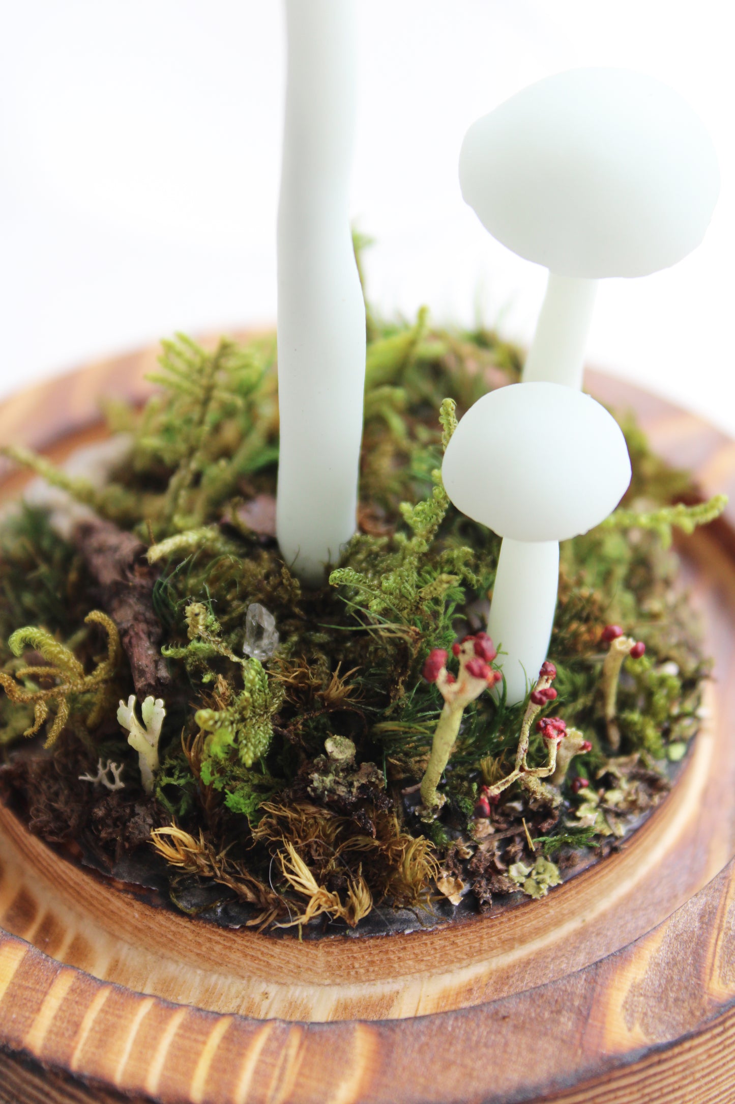 The Mushroom Jackalope | Glass Domed Sculpture