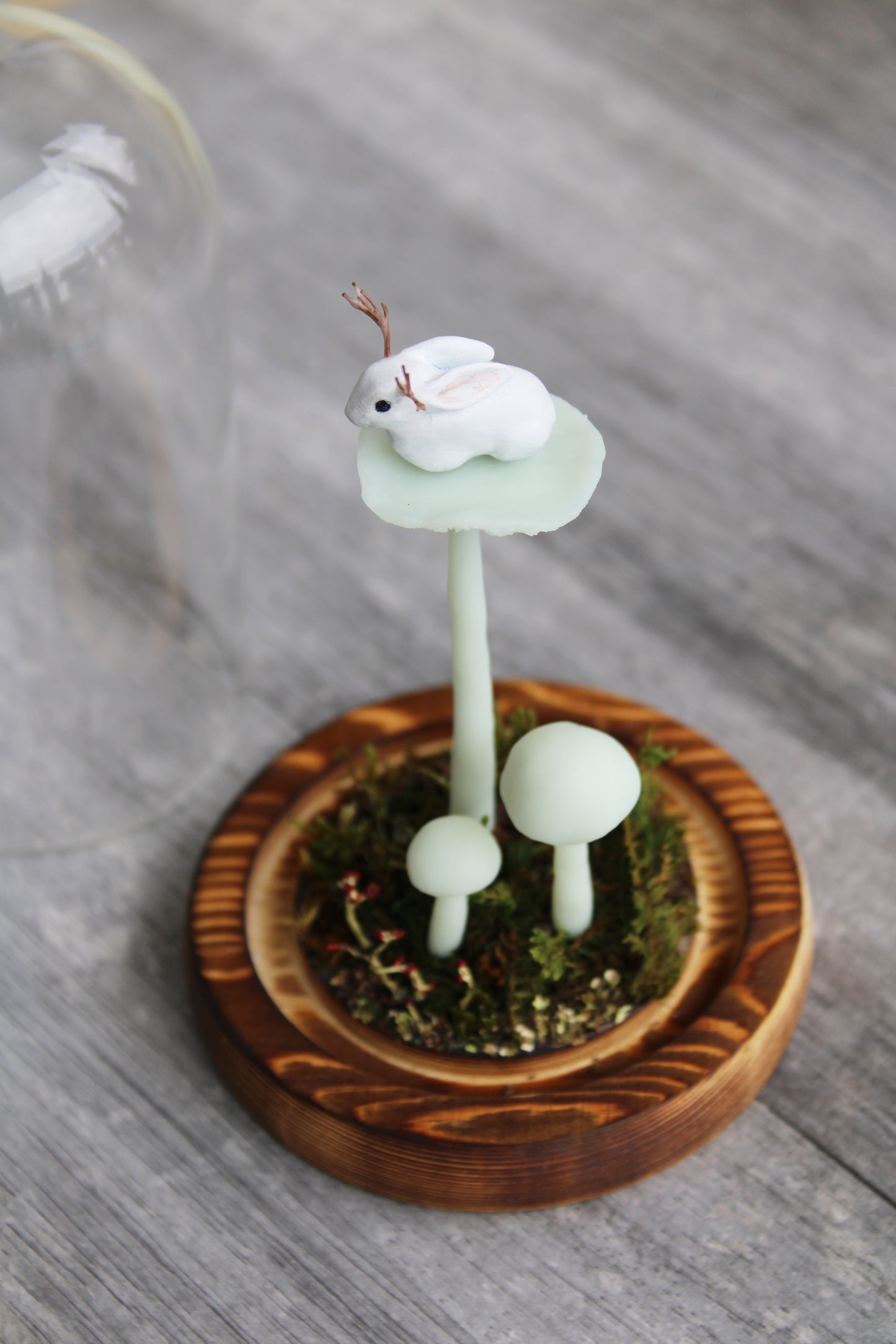 The Mushroom Jackalope | Glass Domed Sculpture
