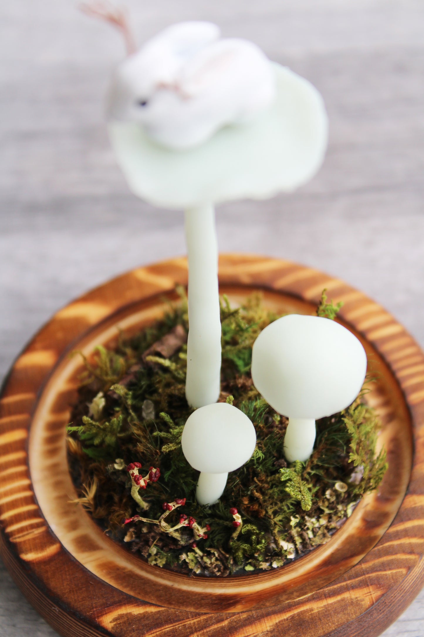 The Mushroom Jackalope | Glass Domed Sculpture