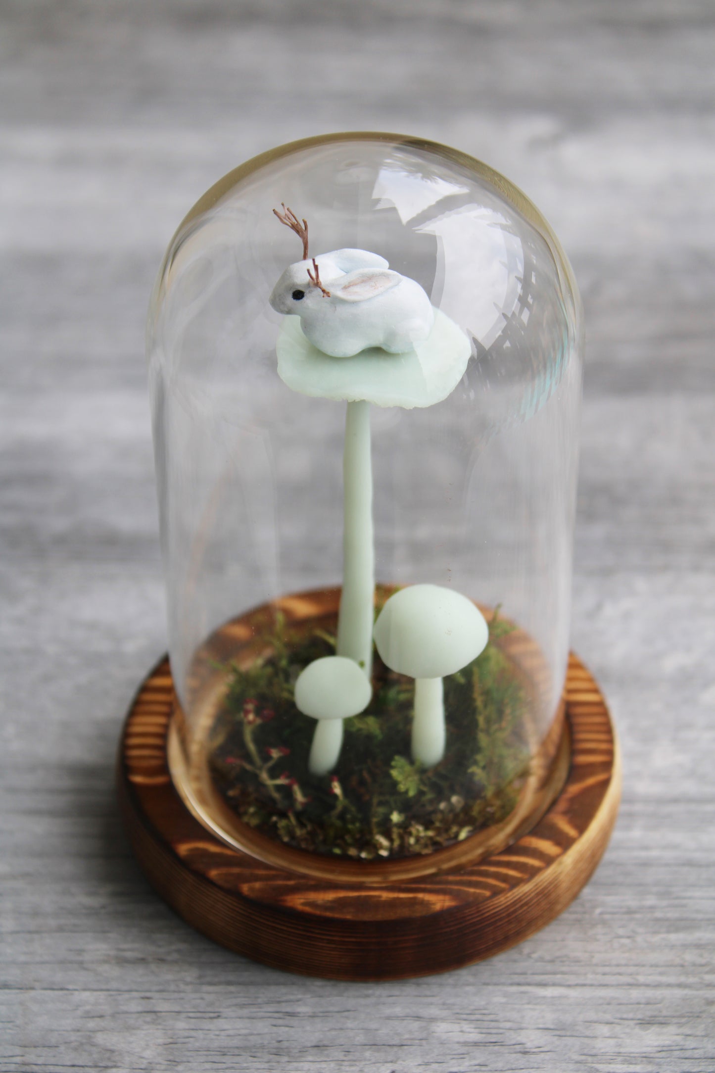 The Mushroom Jackalope | Glass Domed Sculpture