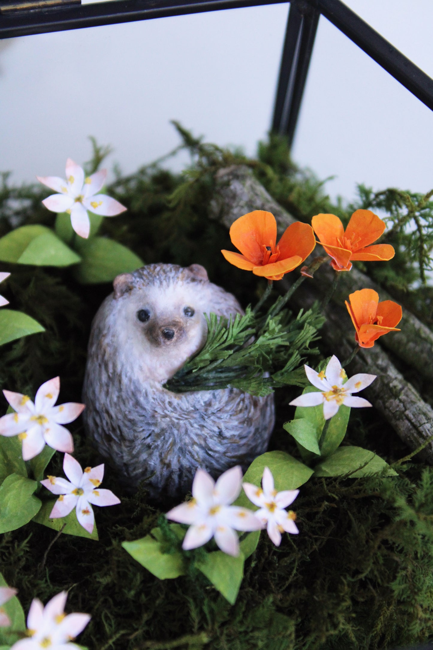 The Treasures of a Wildflower Meadow | Glass Shadowbox Sculpture