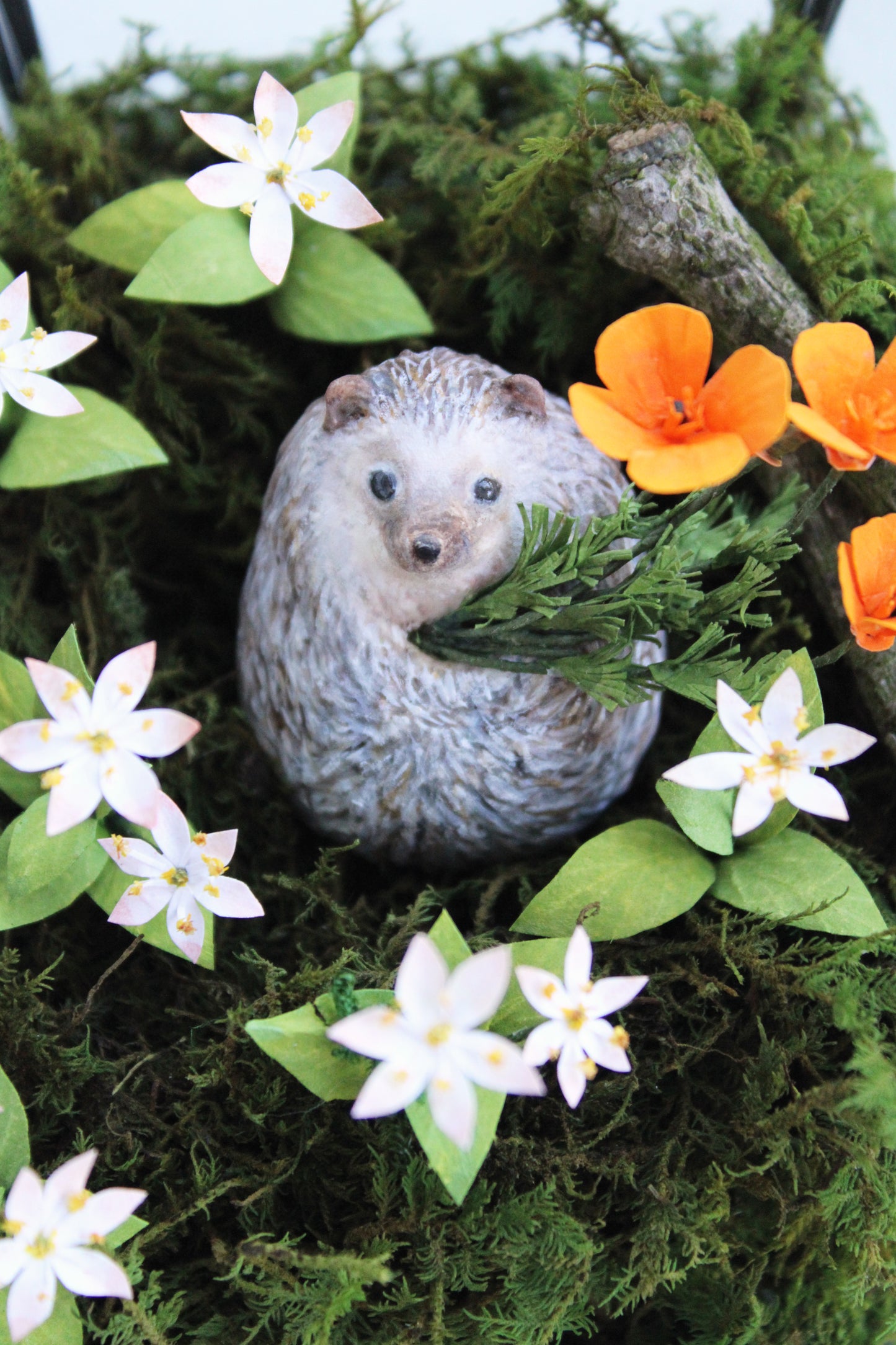 The Treasures of a Wildflower Meadow | Glass Shadowbox Sculpture