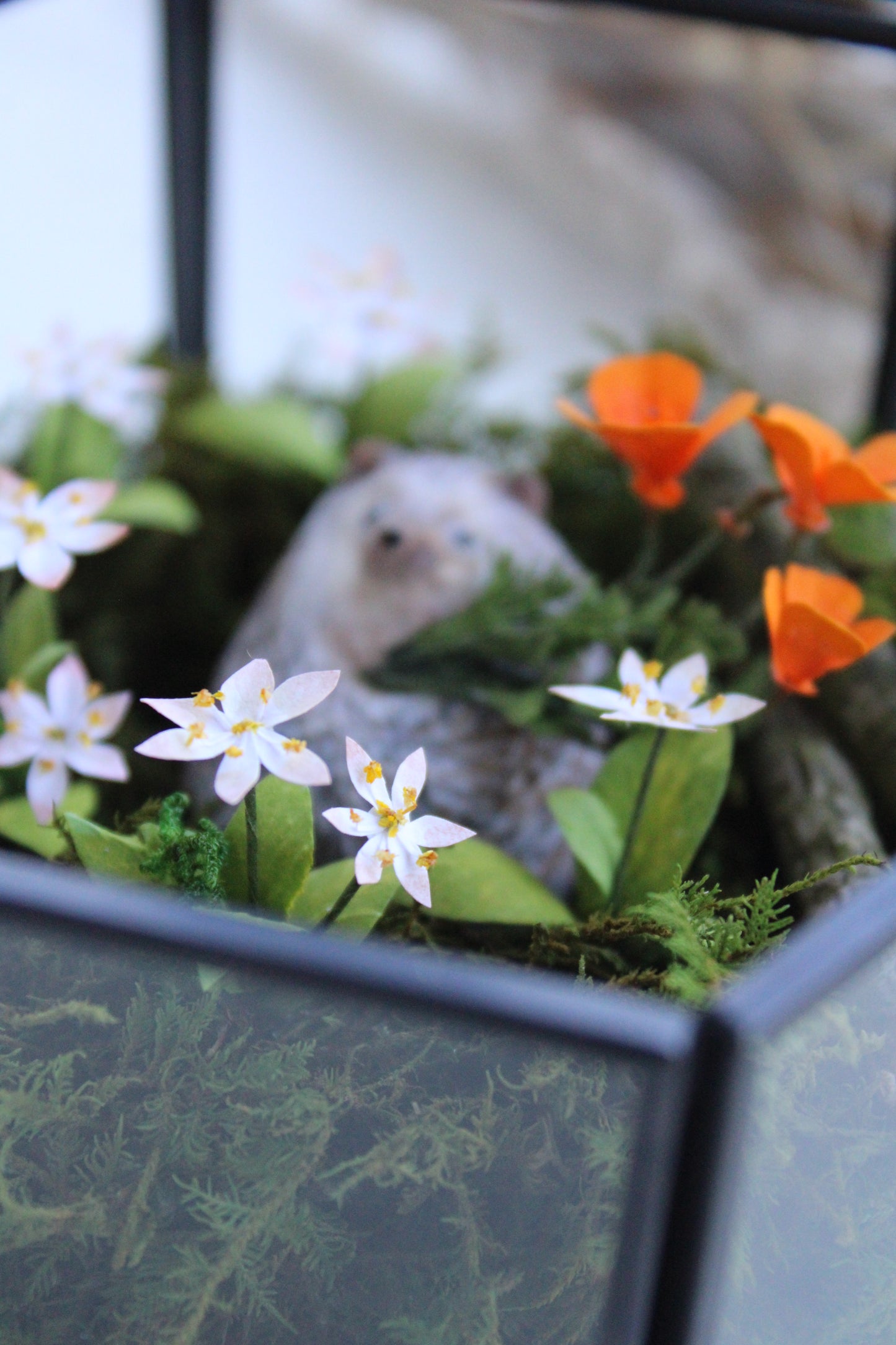 The Treasures of a Wildflower Meadow | Glass Shadowbox Sculpture