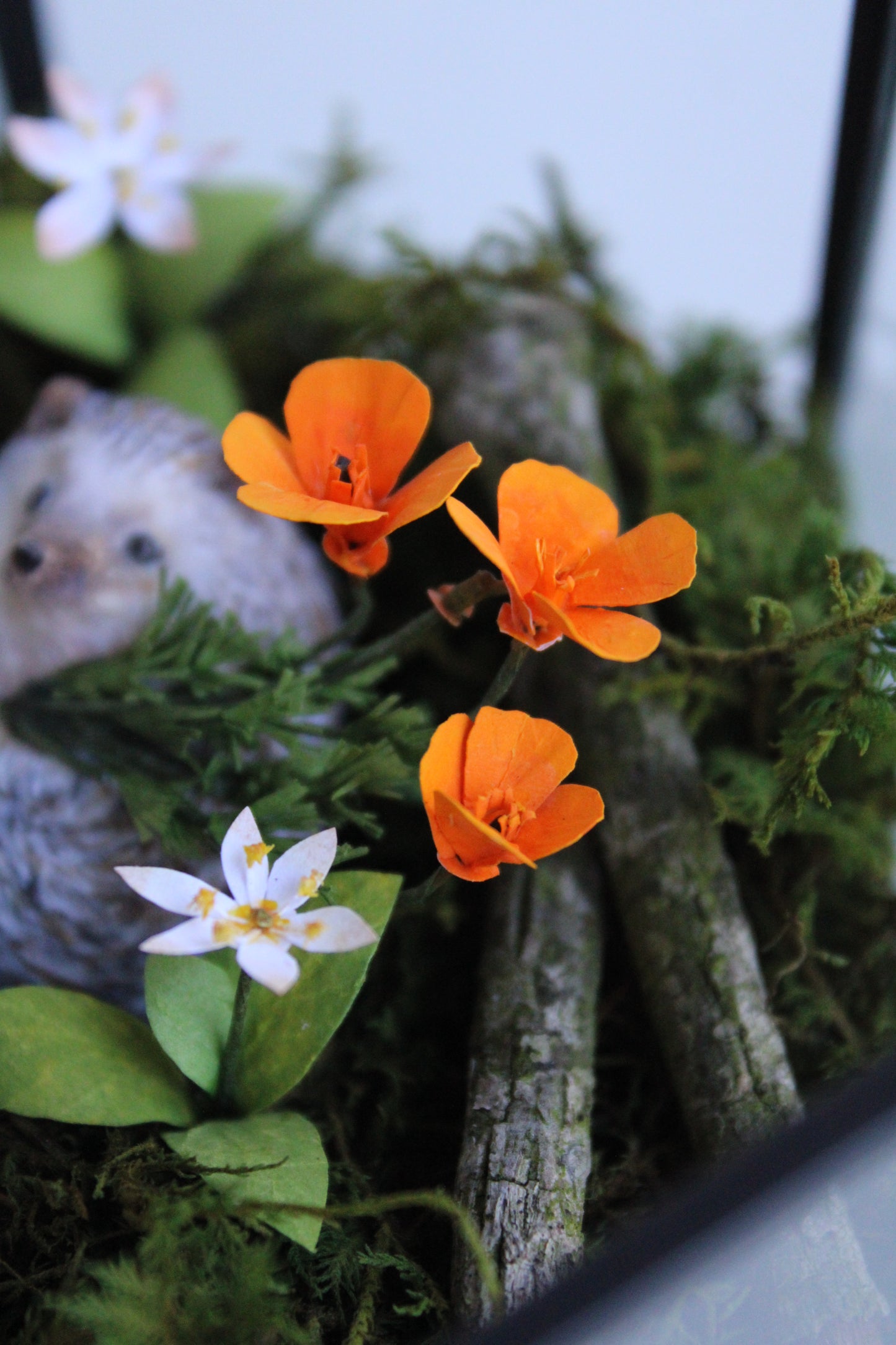 The Treasures of a Wildflower Meadow | Glass Shadowbox Sculpture