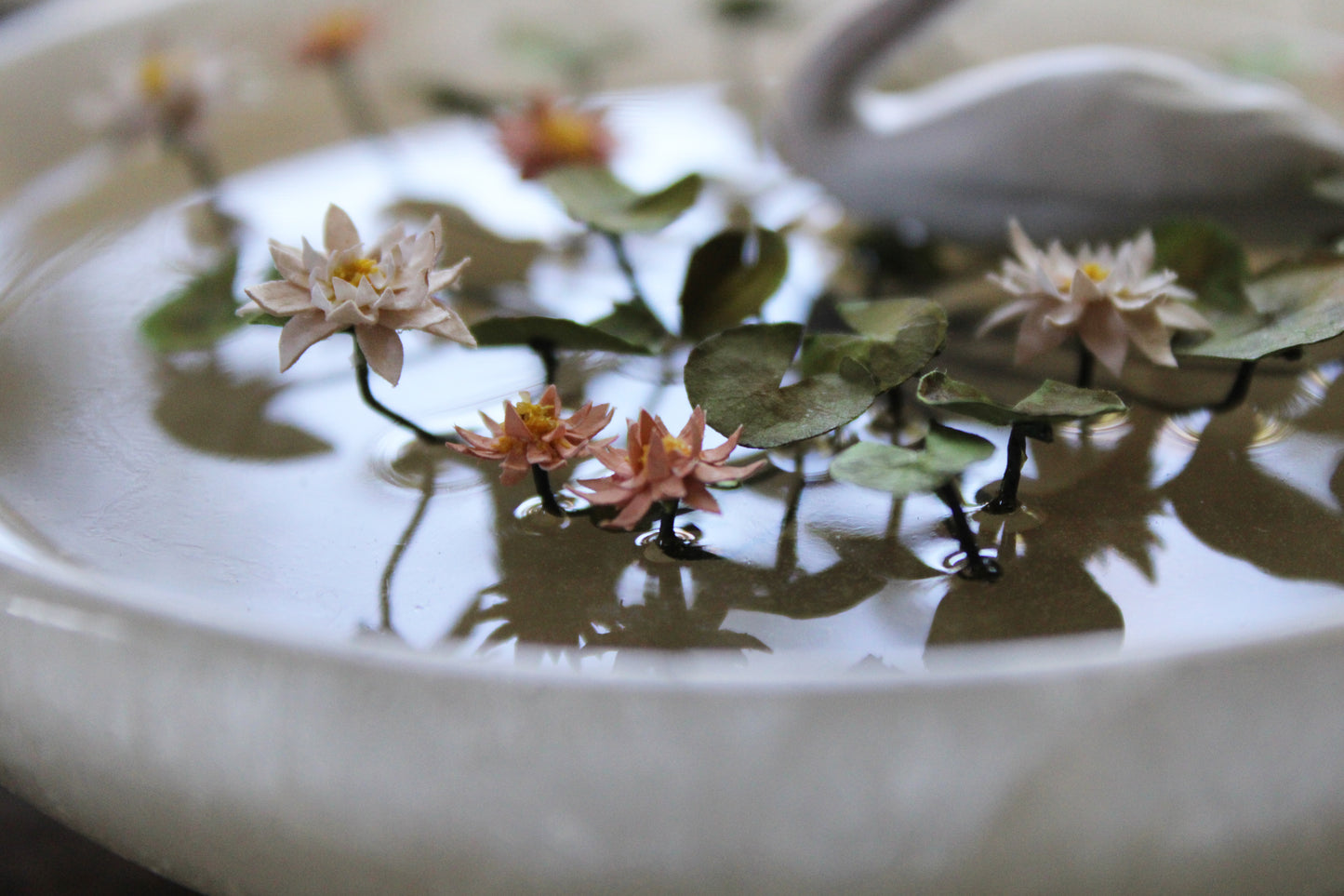 Growth from the Moonlight | Onyx Bowl Sculpture
