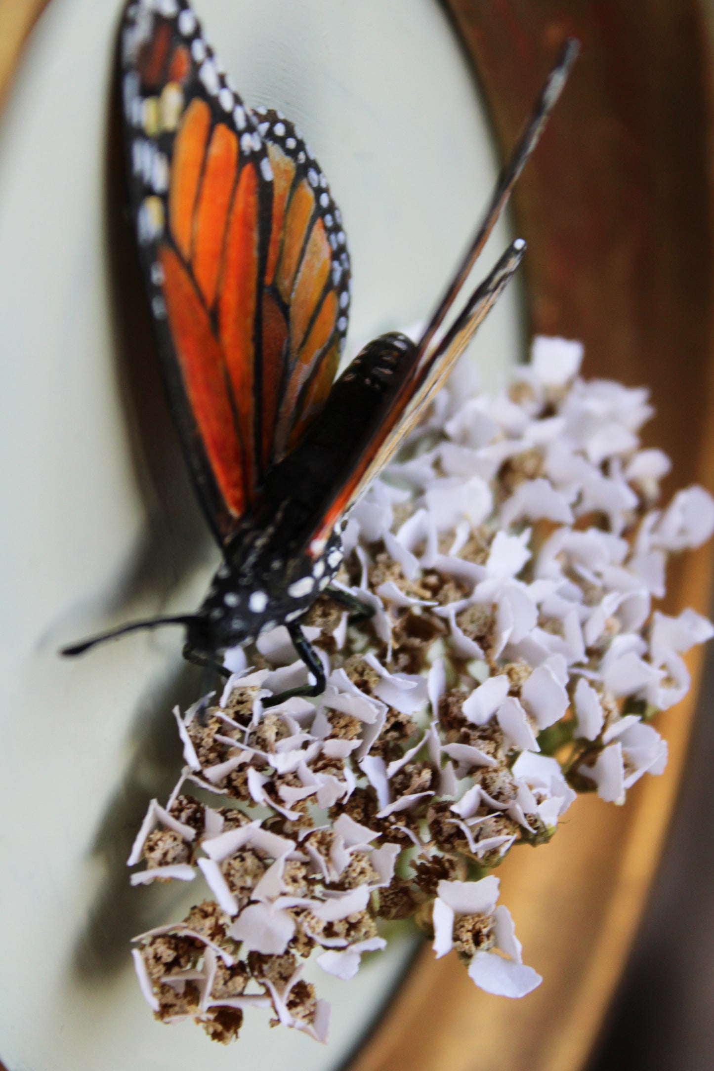 Morning Reflections | Plaque Sculpture