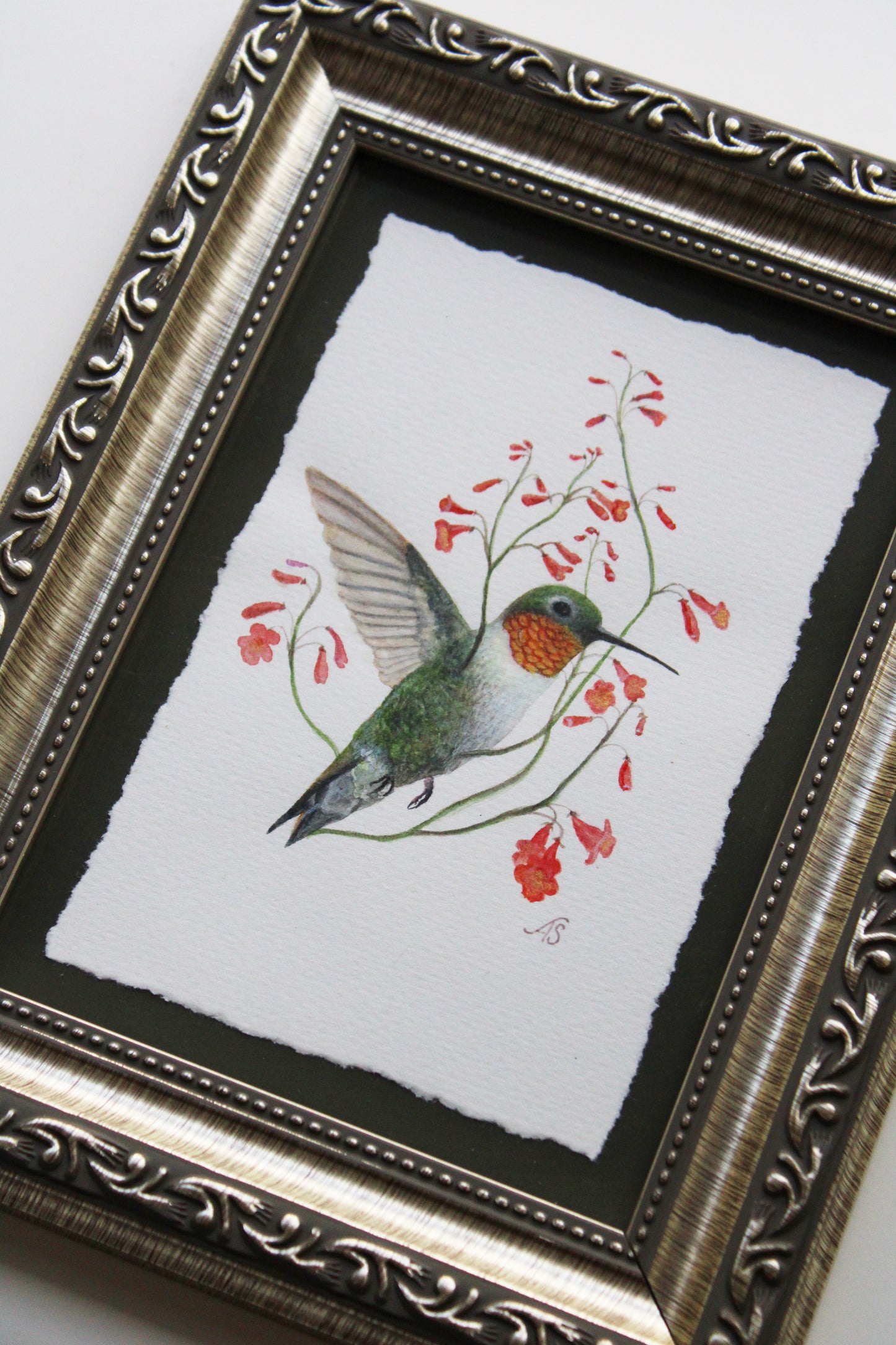 Outspread | Framed Original Painting