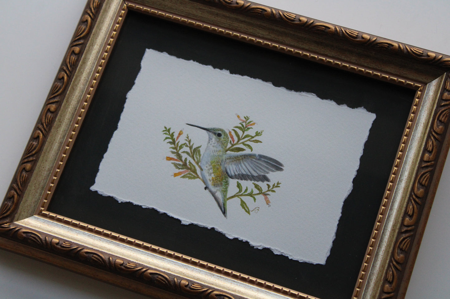 Outspread II | Framed Original Painting