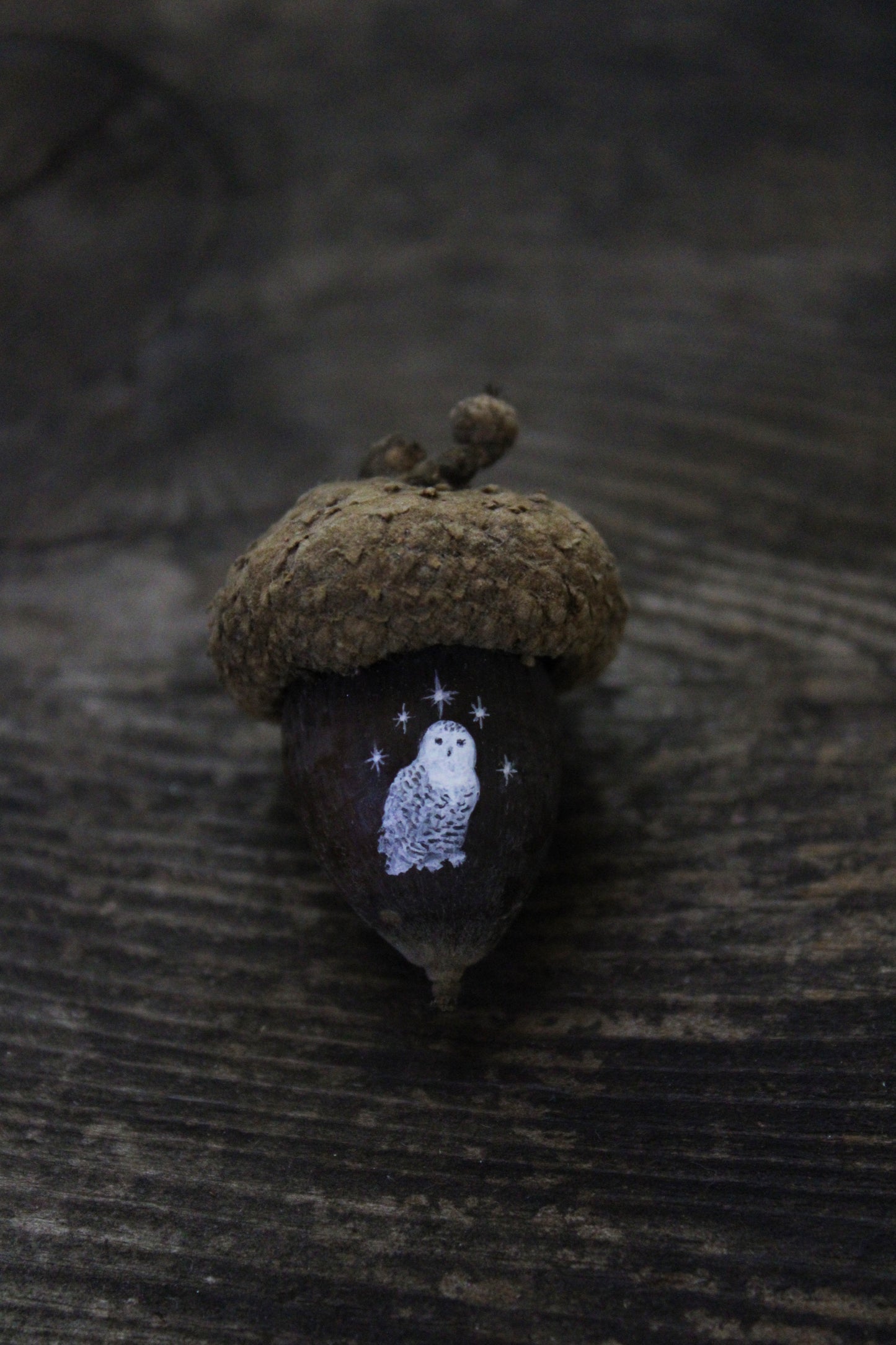Owl Painted Acorns | Faerie Coins