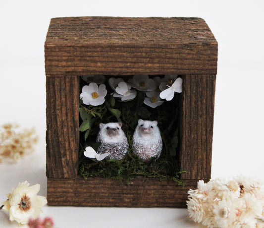 Rose Moth Watching | Wooden Shadowbox