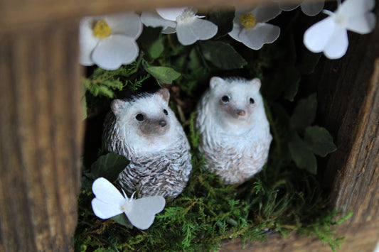 Rose Moth Watching | Wooden Shadowbox