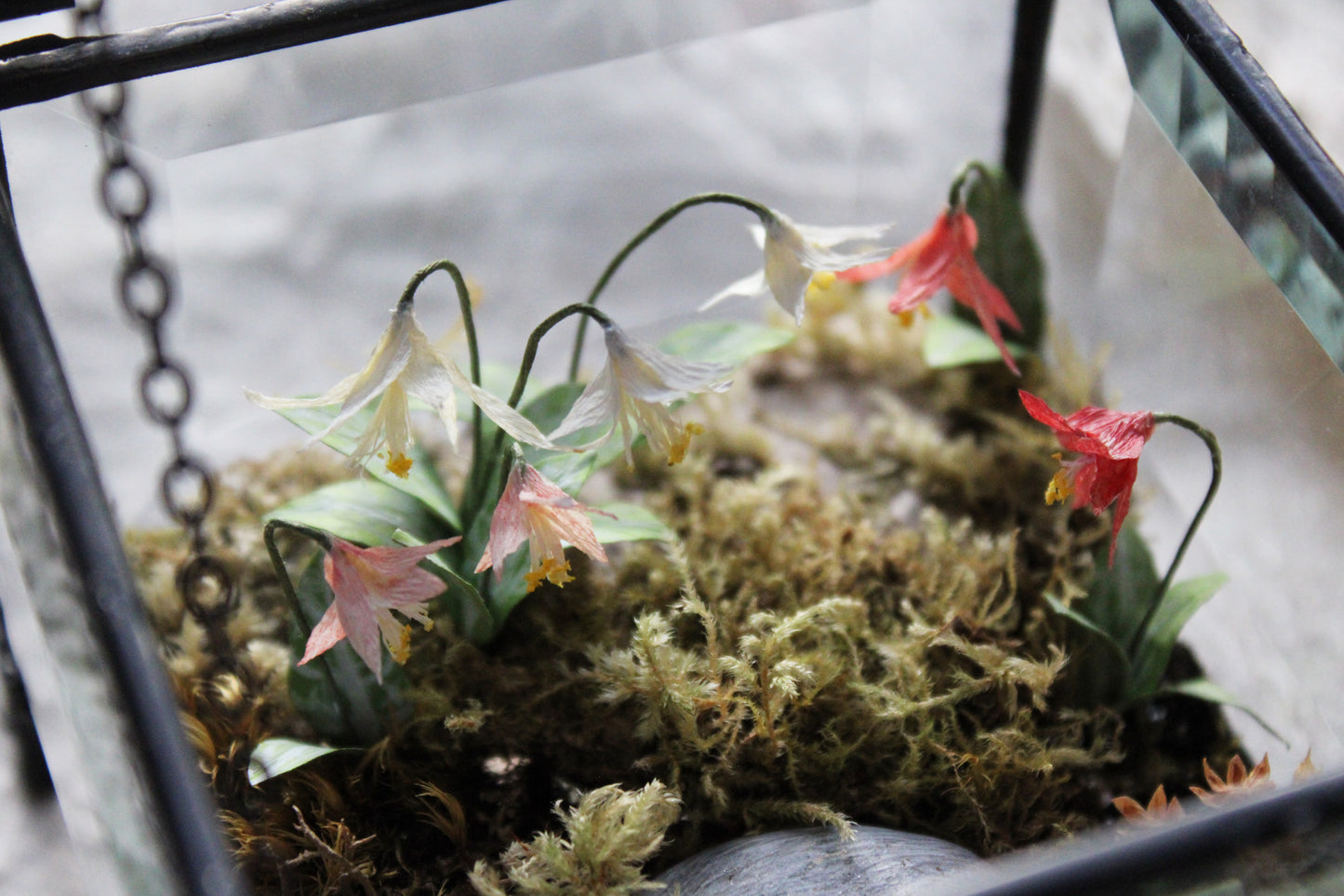 Slowing Down in the Meadowland | Glass Shadowbox Sculpture