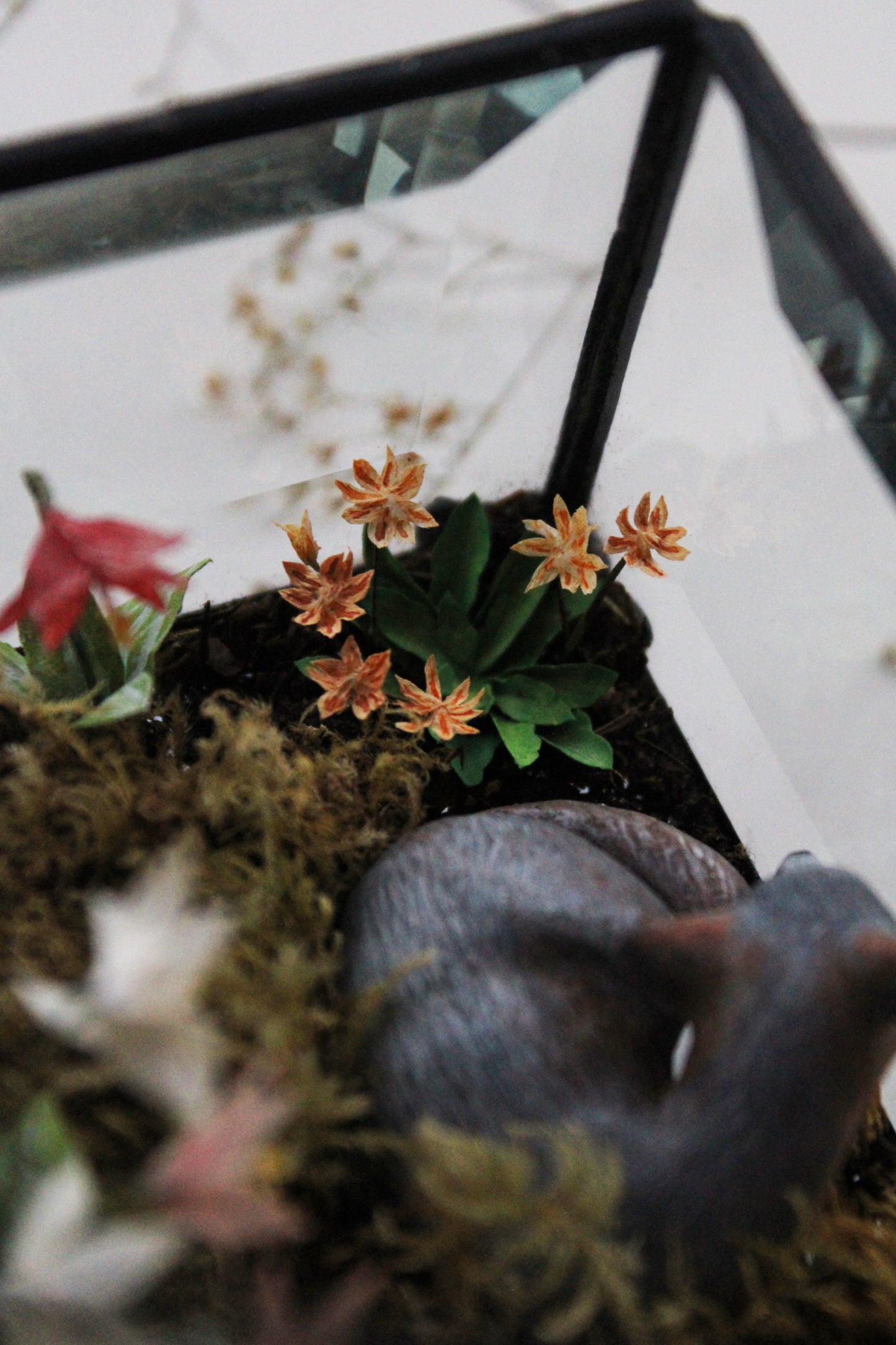 Slowing Down in the Meadowland | Glass Shadowbox Sculpture