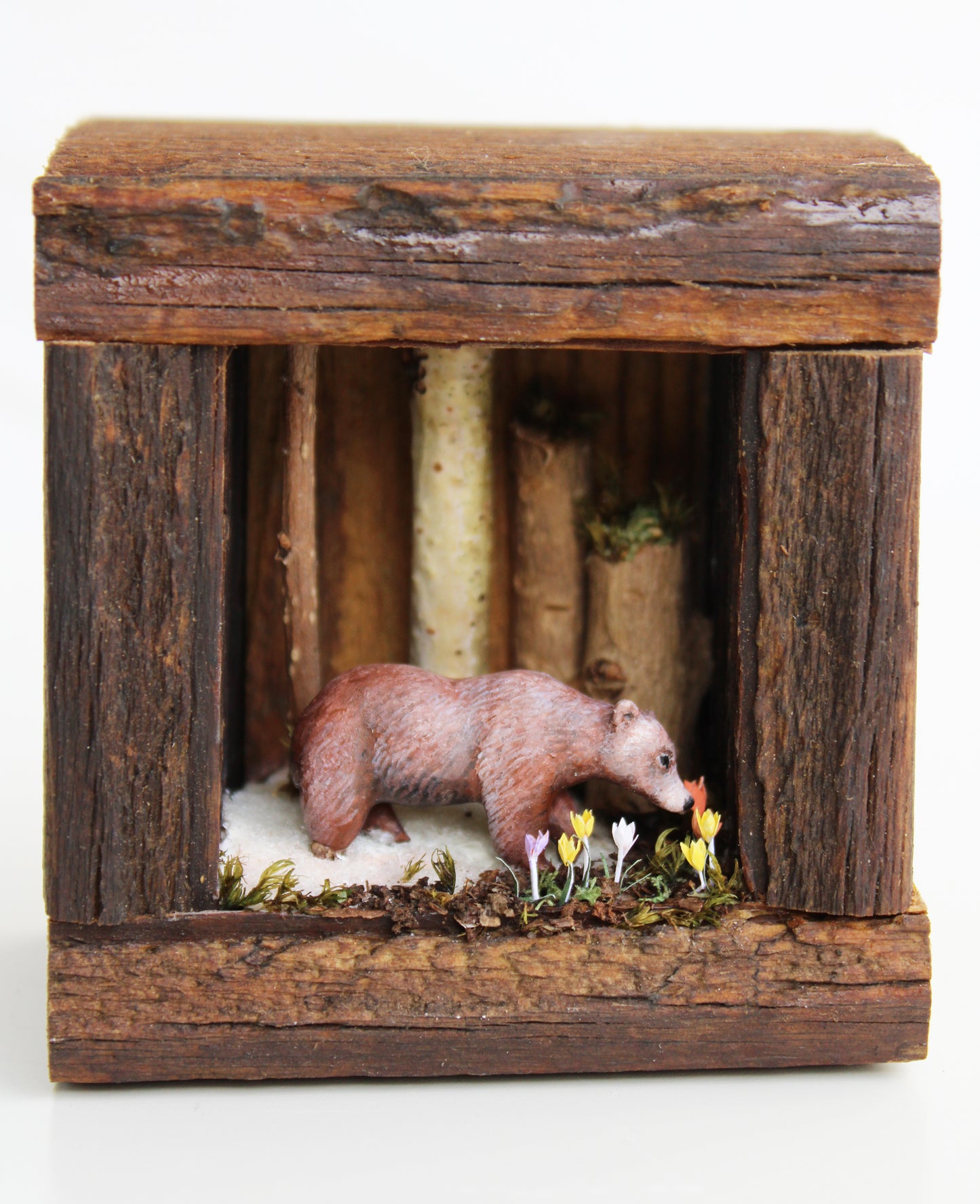 Finding Spring | Wooden Shadowbox