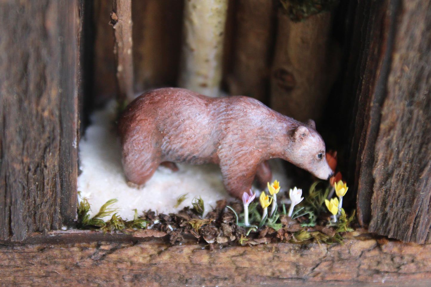 Finding Spring | Wooden Shadowbox