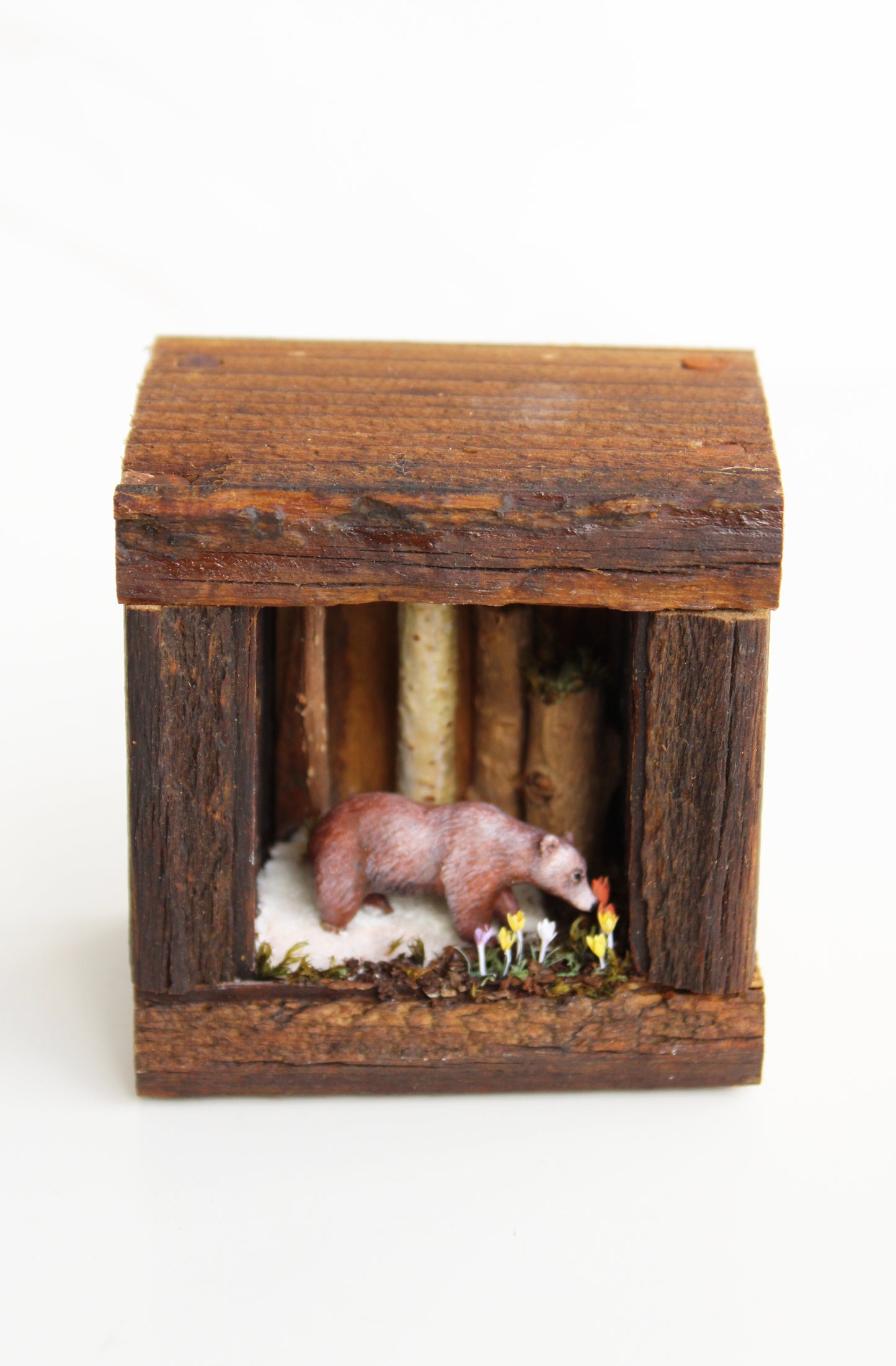 Finding Spring | Wooden Shadowbox
