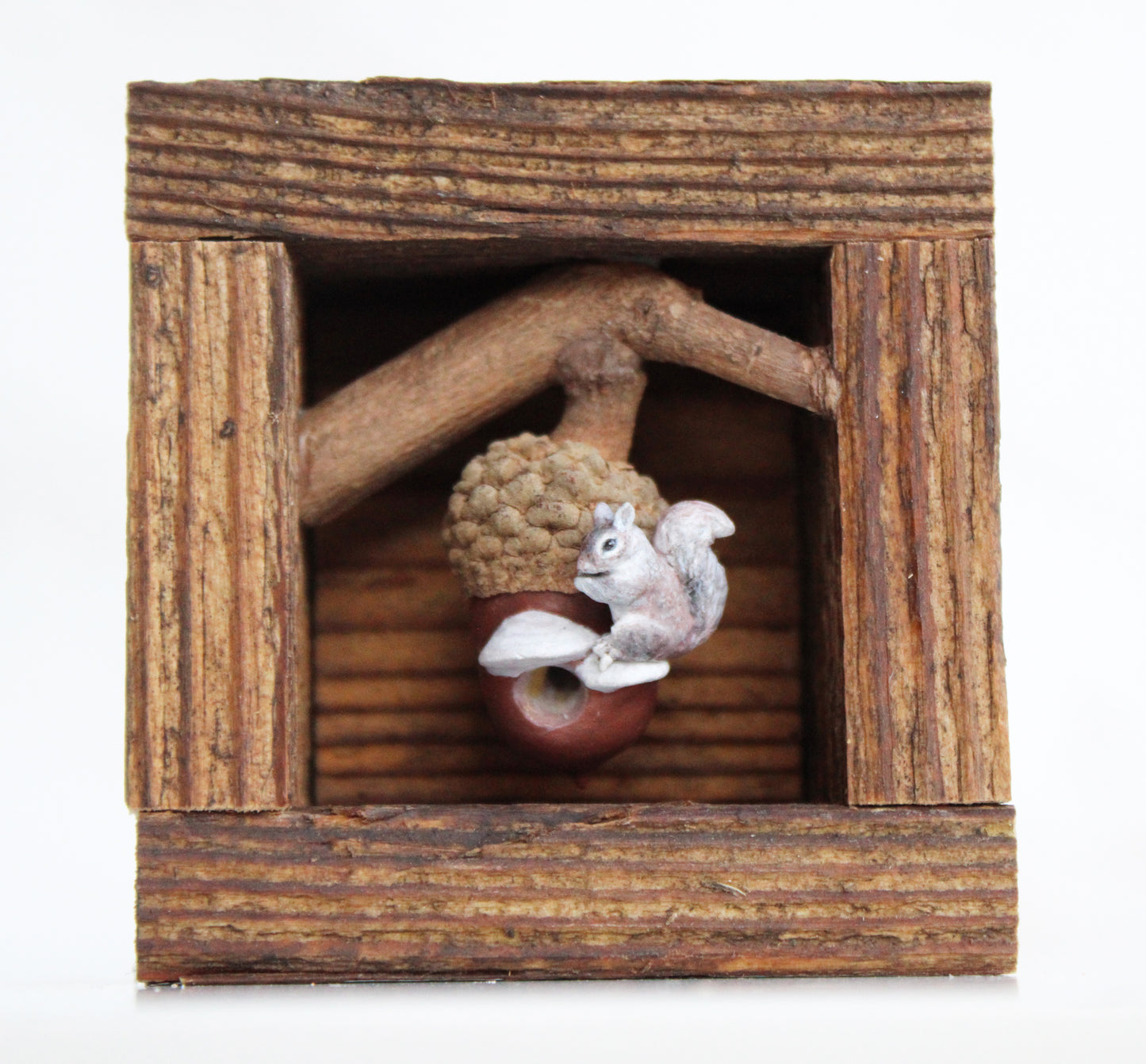 A Squirrel's Acorn Home II | Wooden Shadowbox
