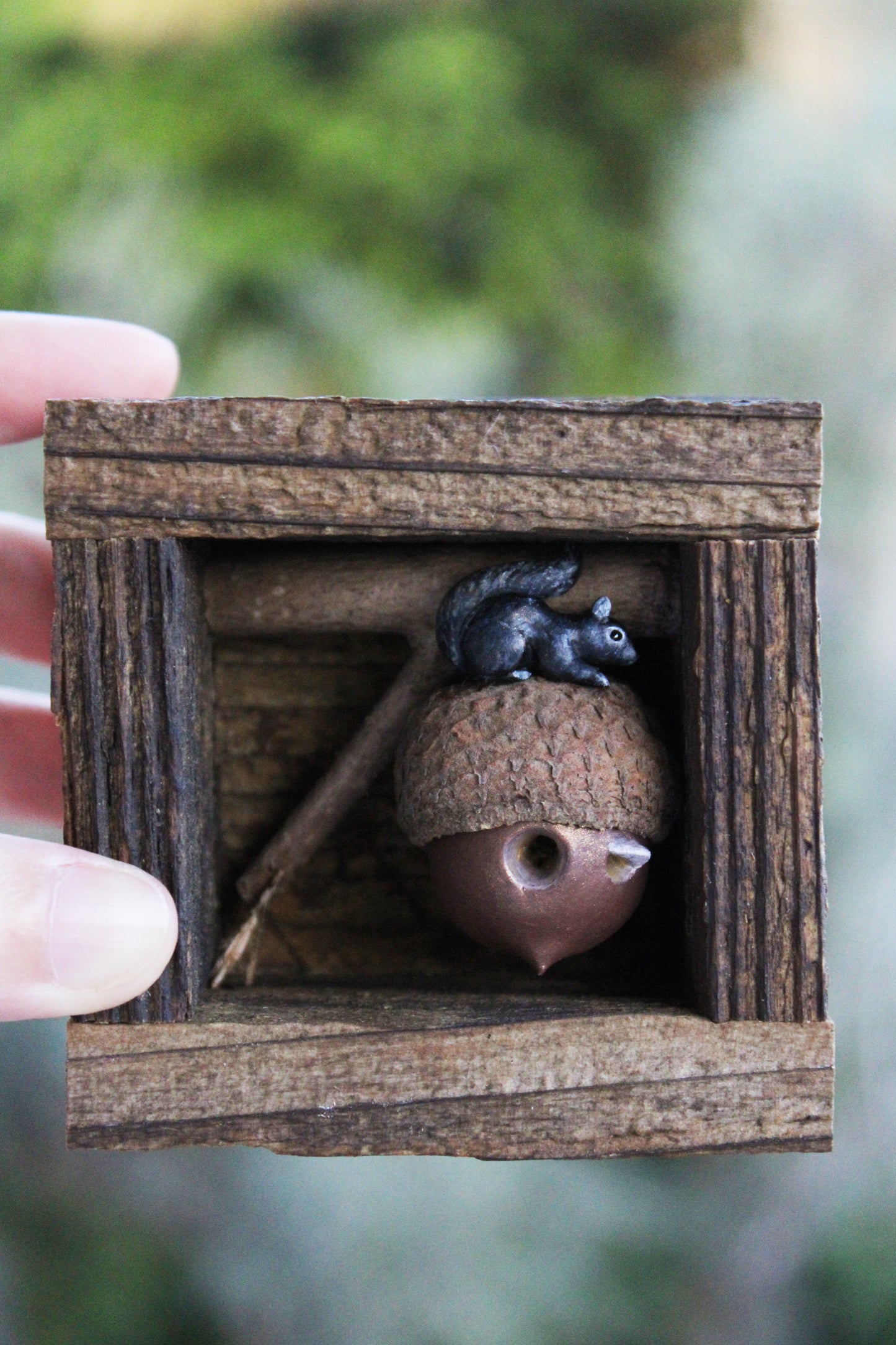 'A Squirrel's Acorn Home IV' | Wooden Shadowbox