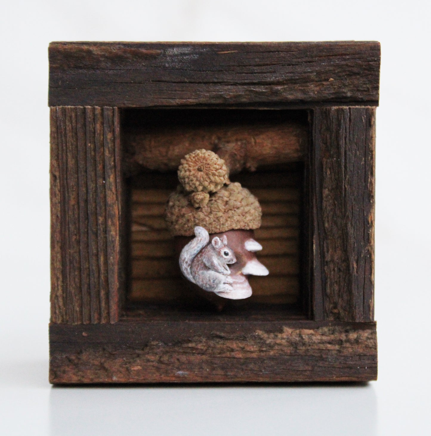 A Squirrel's Acorn Home III | Wooden Shadowbox