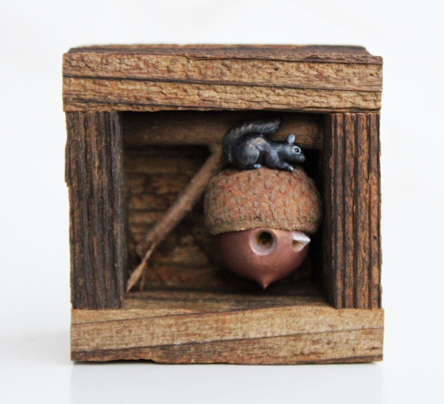 'A Squirrel's Acorn Home IV' | Wooden Shadowbox