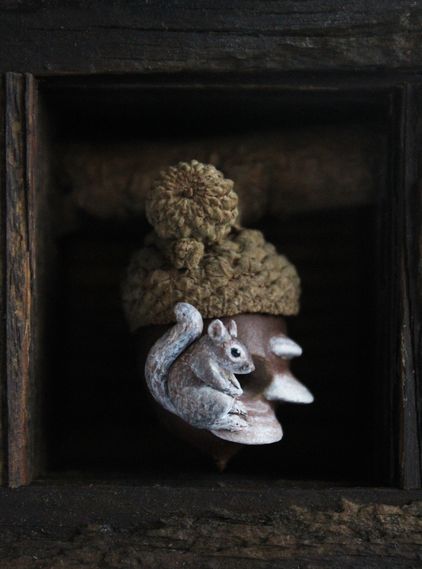 A Squirrel's Acorn Home III | Wooden Shadowbox