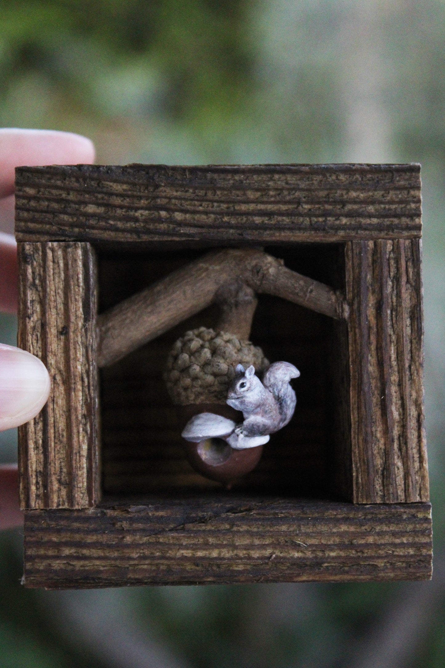A Squirrel's Acorn Home II | Wooden Shadowbox