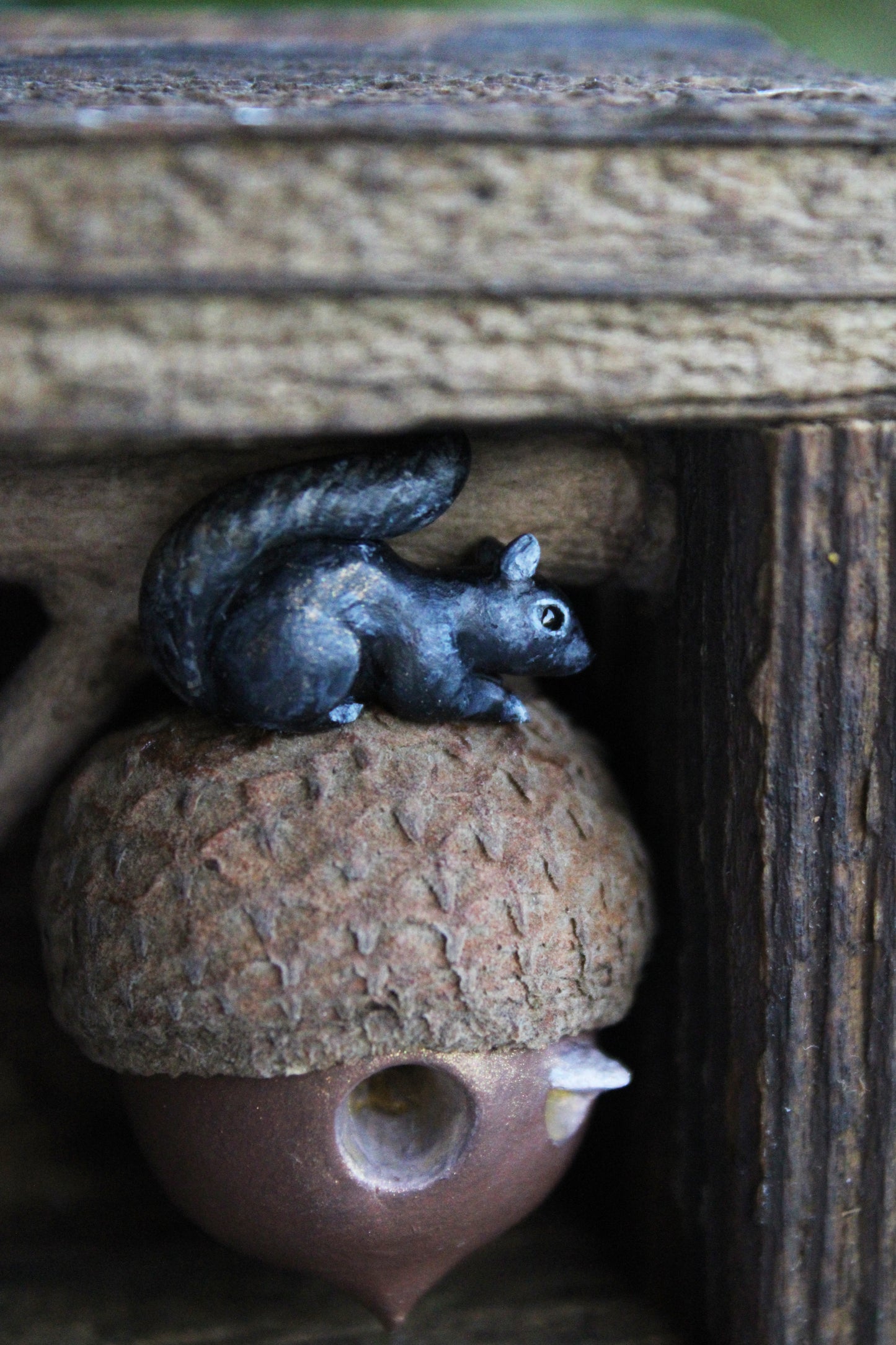 'A Squirrel's Acorn Home IV' | Wooden Shadowbox