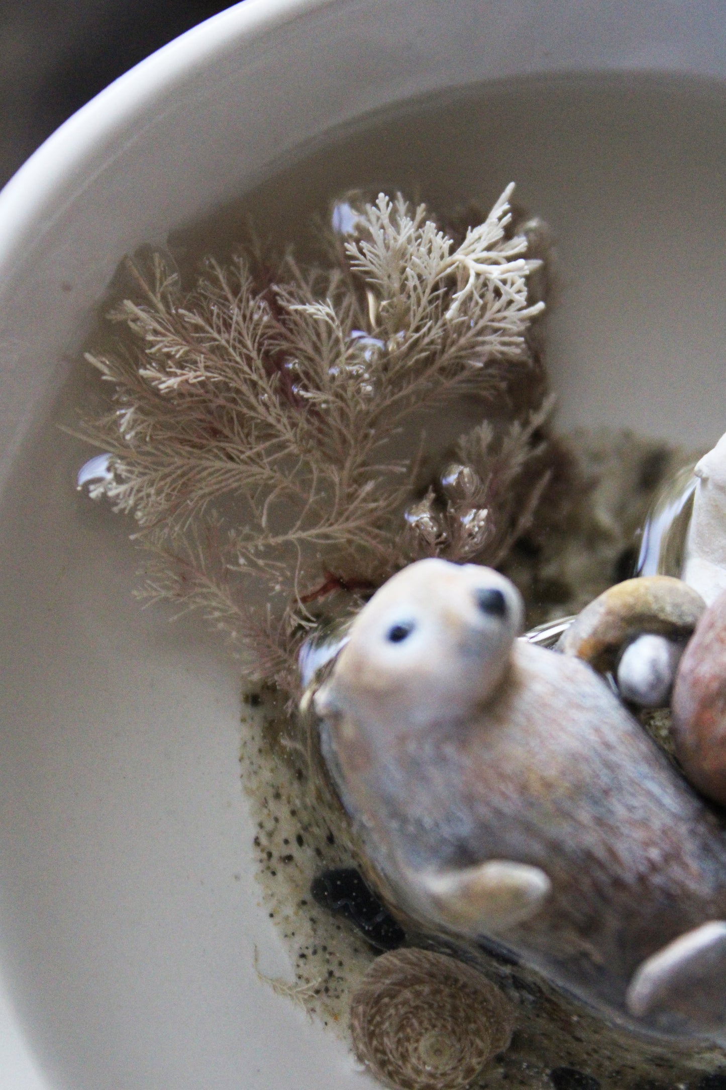 Steadiness in the Ebb and Flow | Ceramic Bowl Sculpture