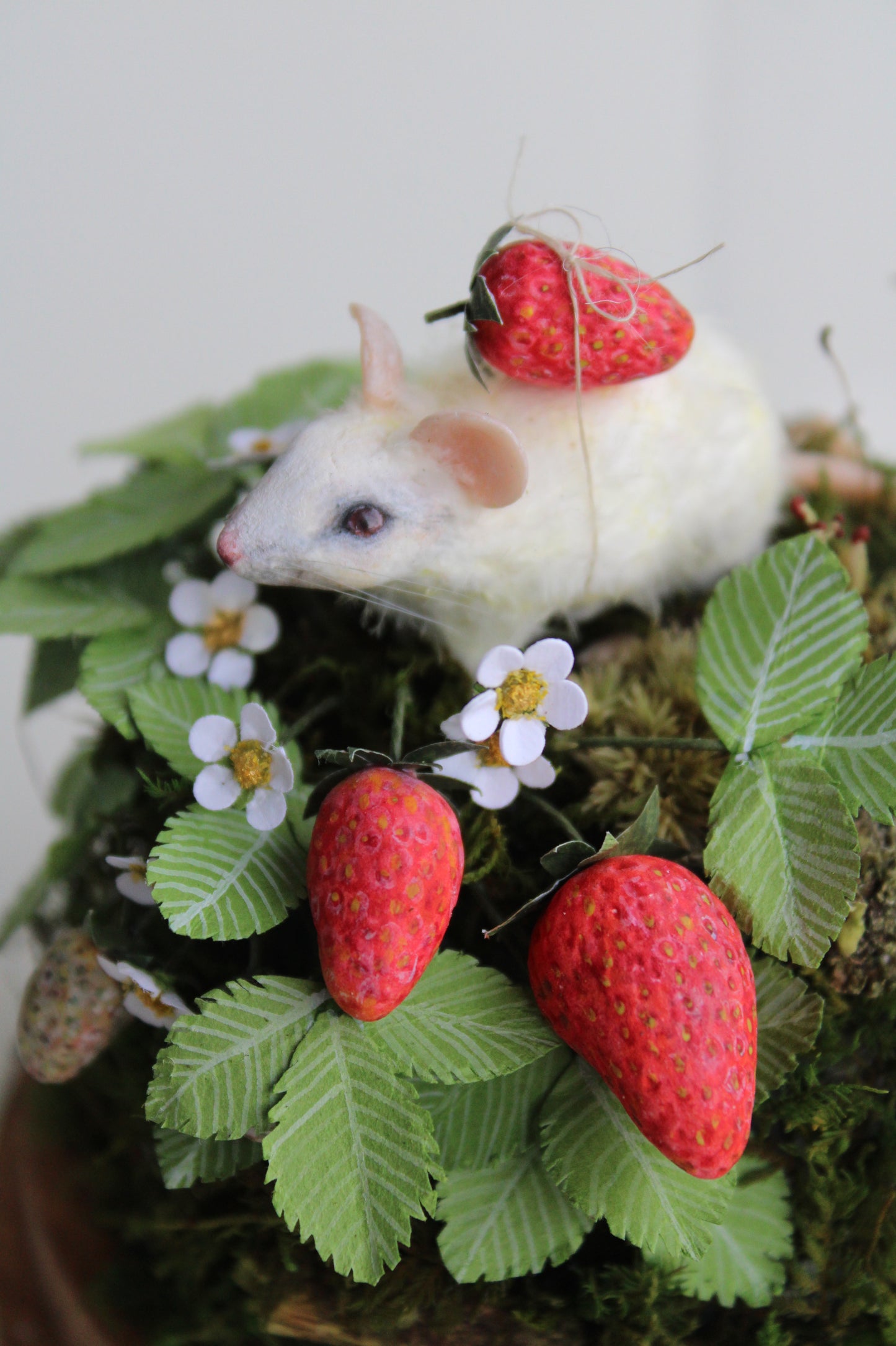 Summertime Forager | Glass Domed Sculpture
