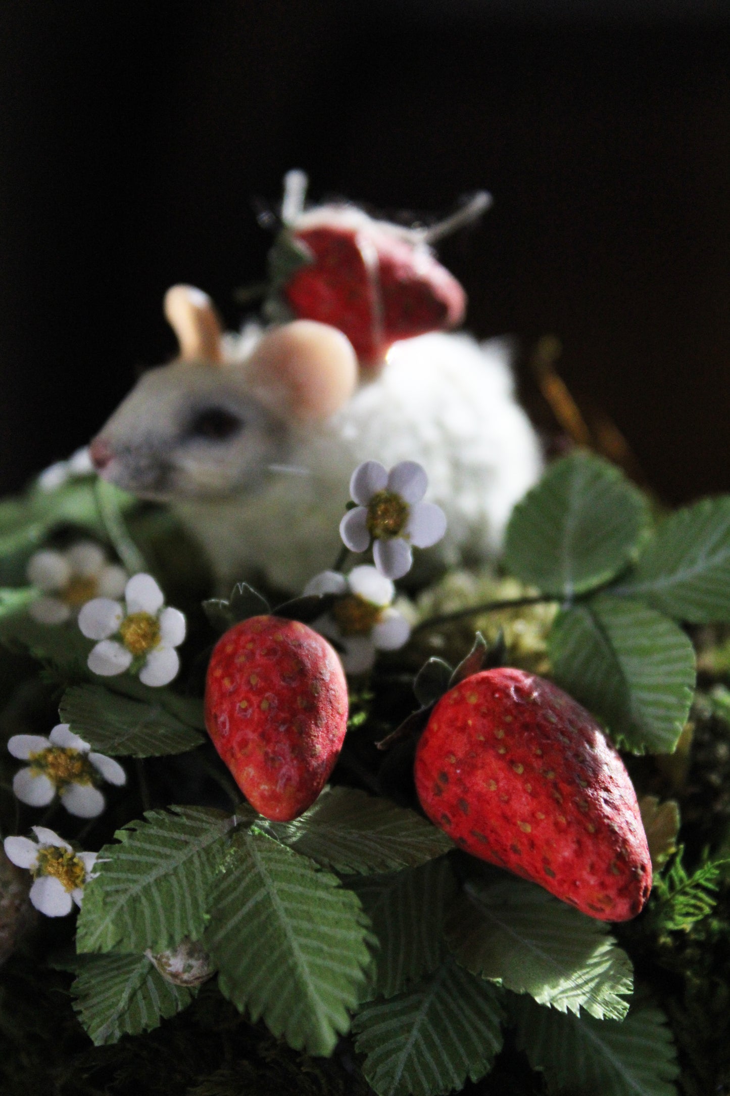 Summertime Forager | Glass Domed Sculpture