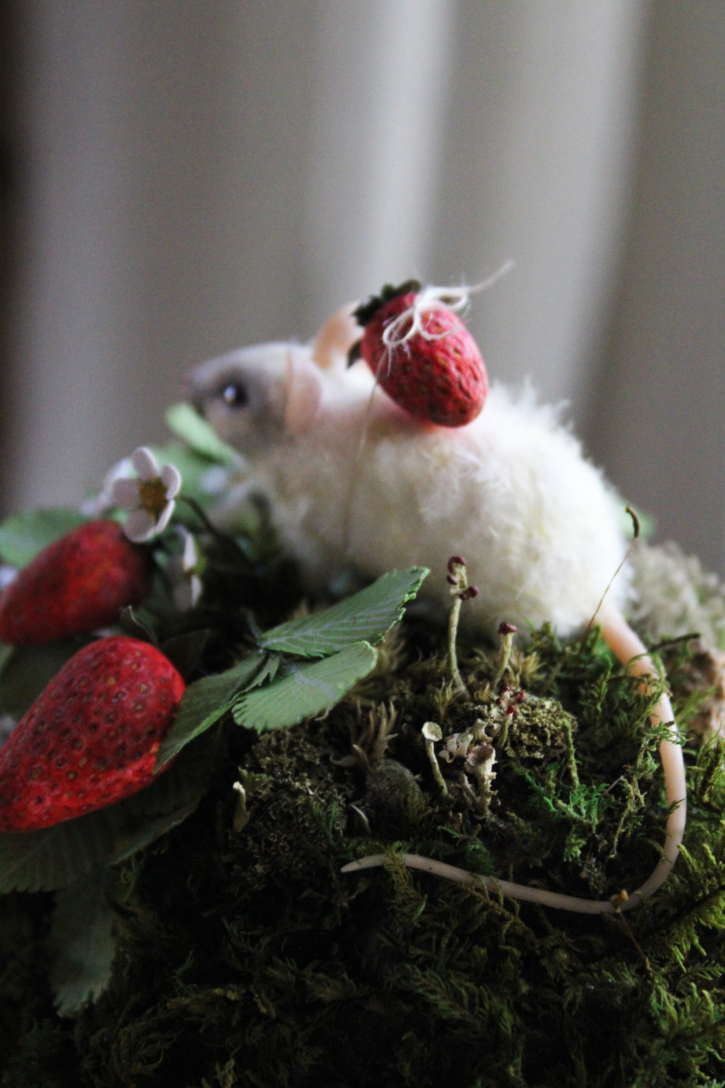 Summertime Forager | Glass Domed Sculpture