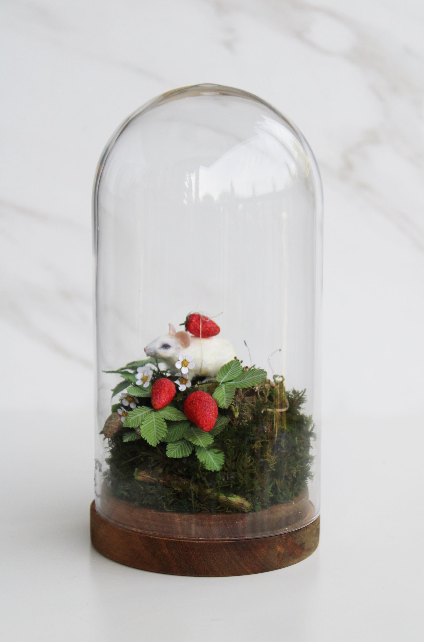 Summertime Forager | Glass Domed Sculpture