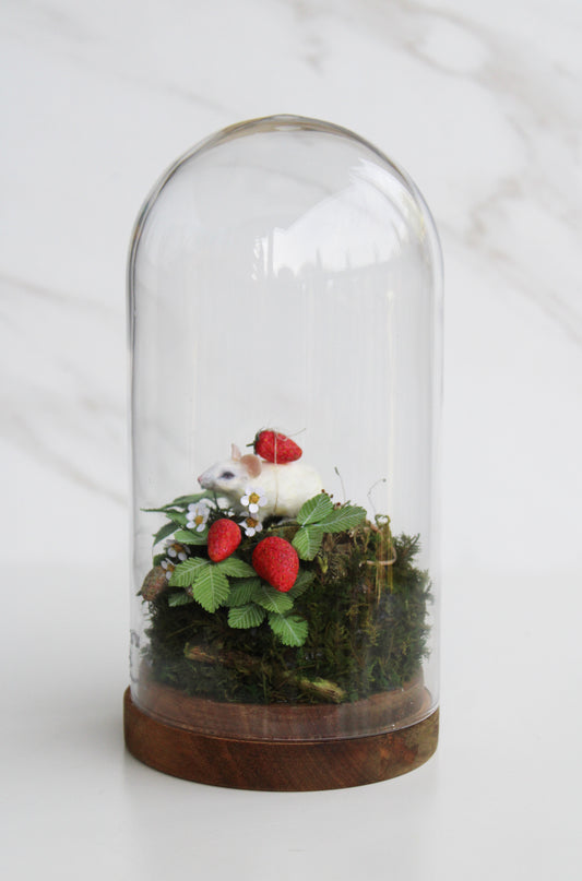 Summertime Forager | Glass Domed Sculpture