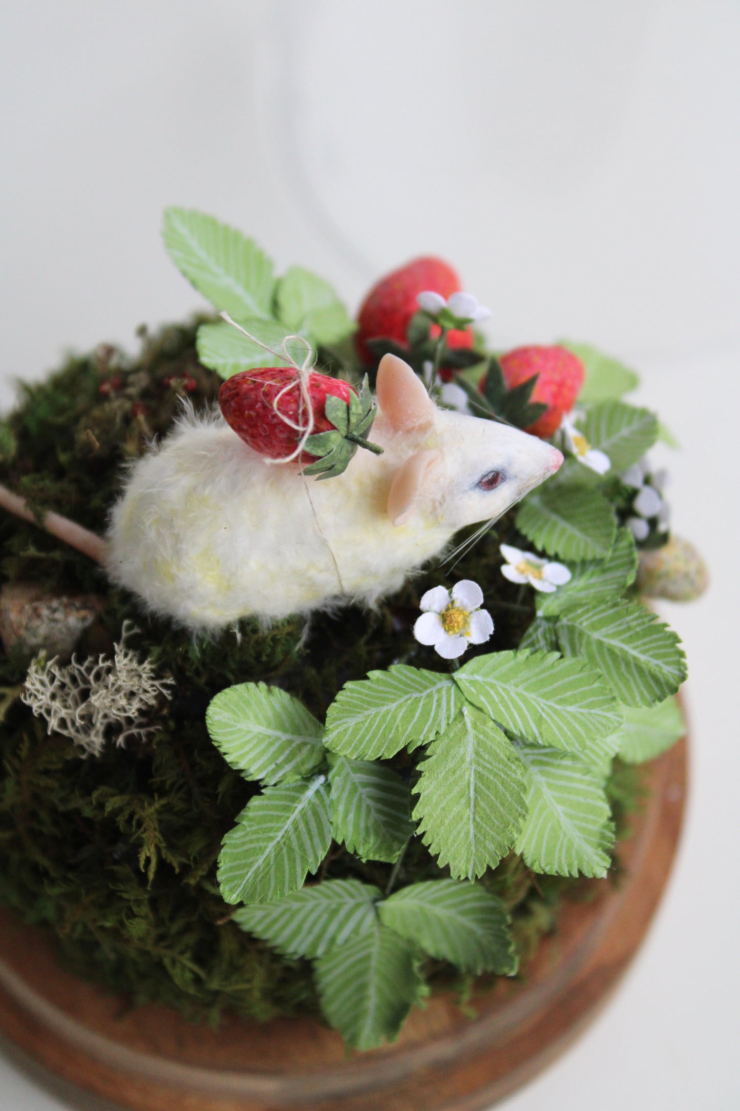 Summertime Forager | Glass Domed Sculpture