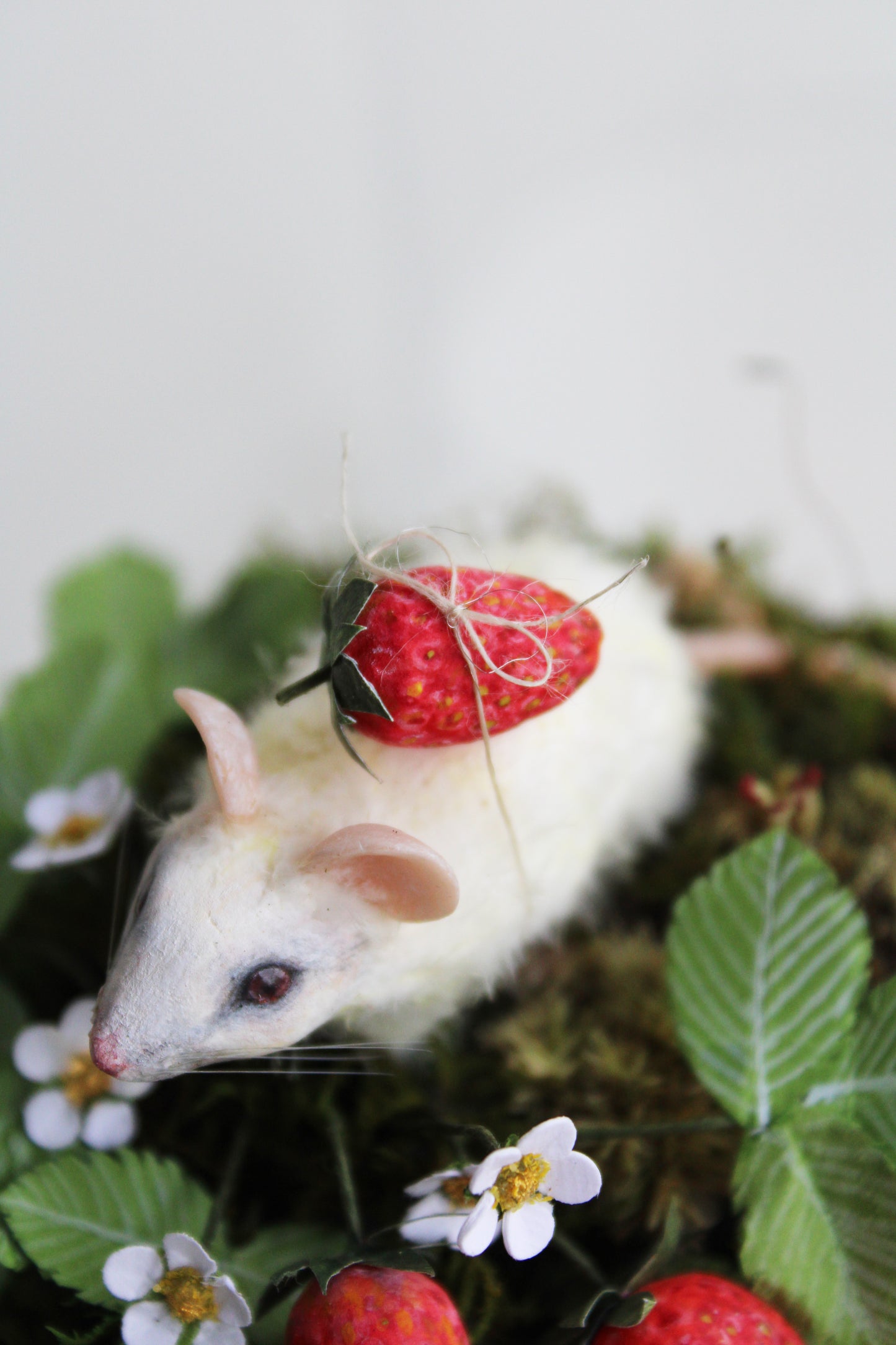 Summertime Forager | Glass Domed Sculpture
