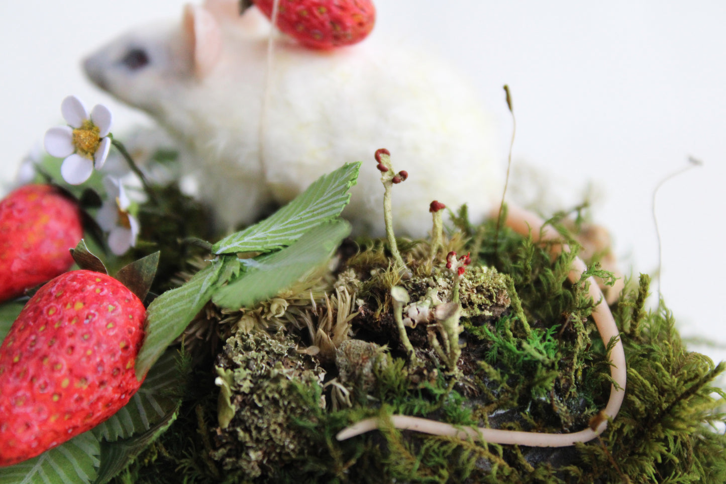 Summertime Forager | Glass Domed Sculpture