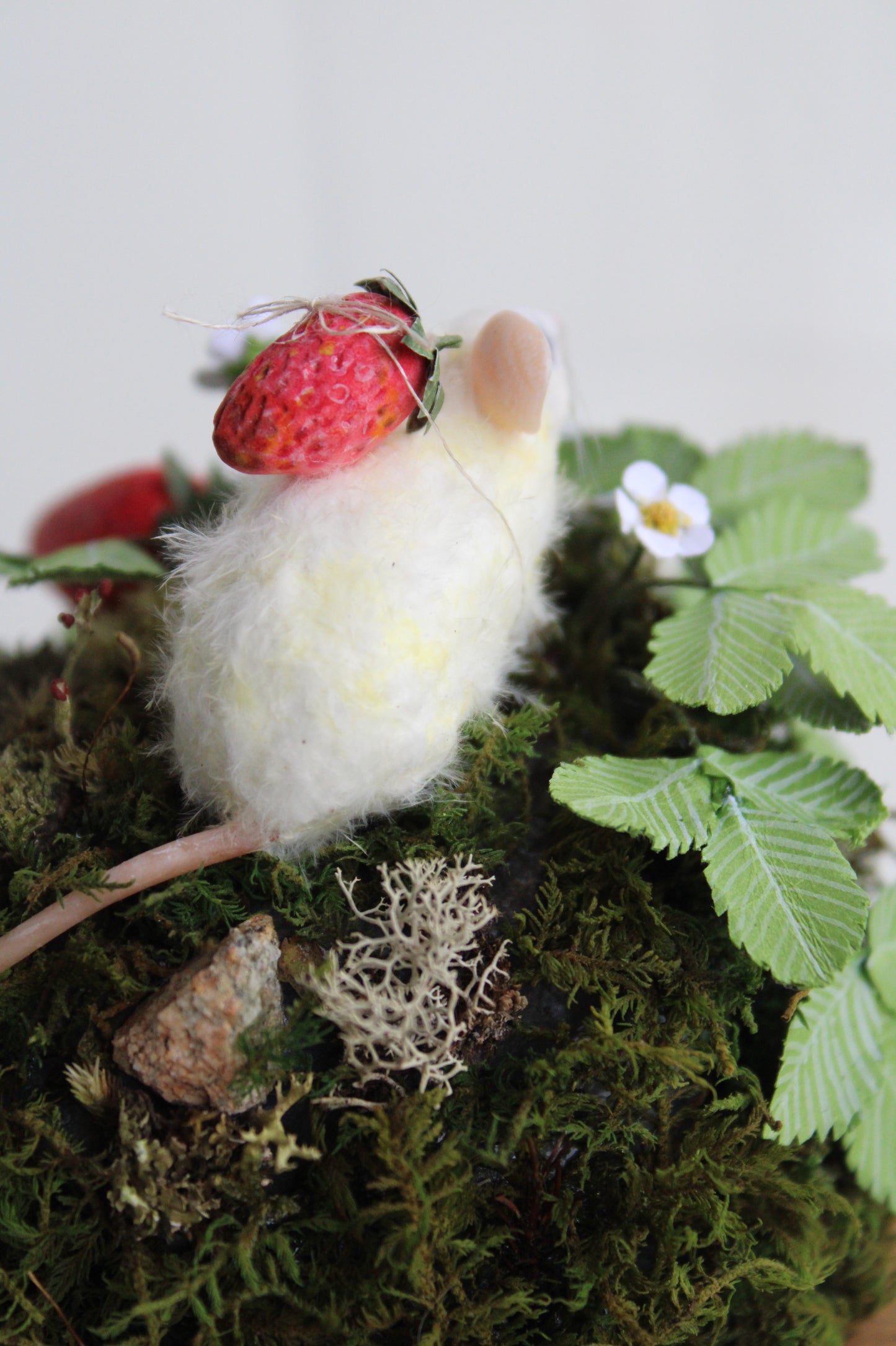 Summertime Forager | Glass Domed Sculpture