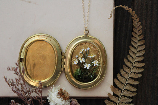 The Finding & Spreading of the Star Flowers | Locket Necklace