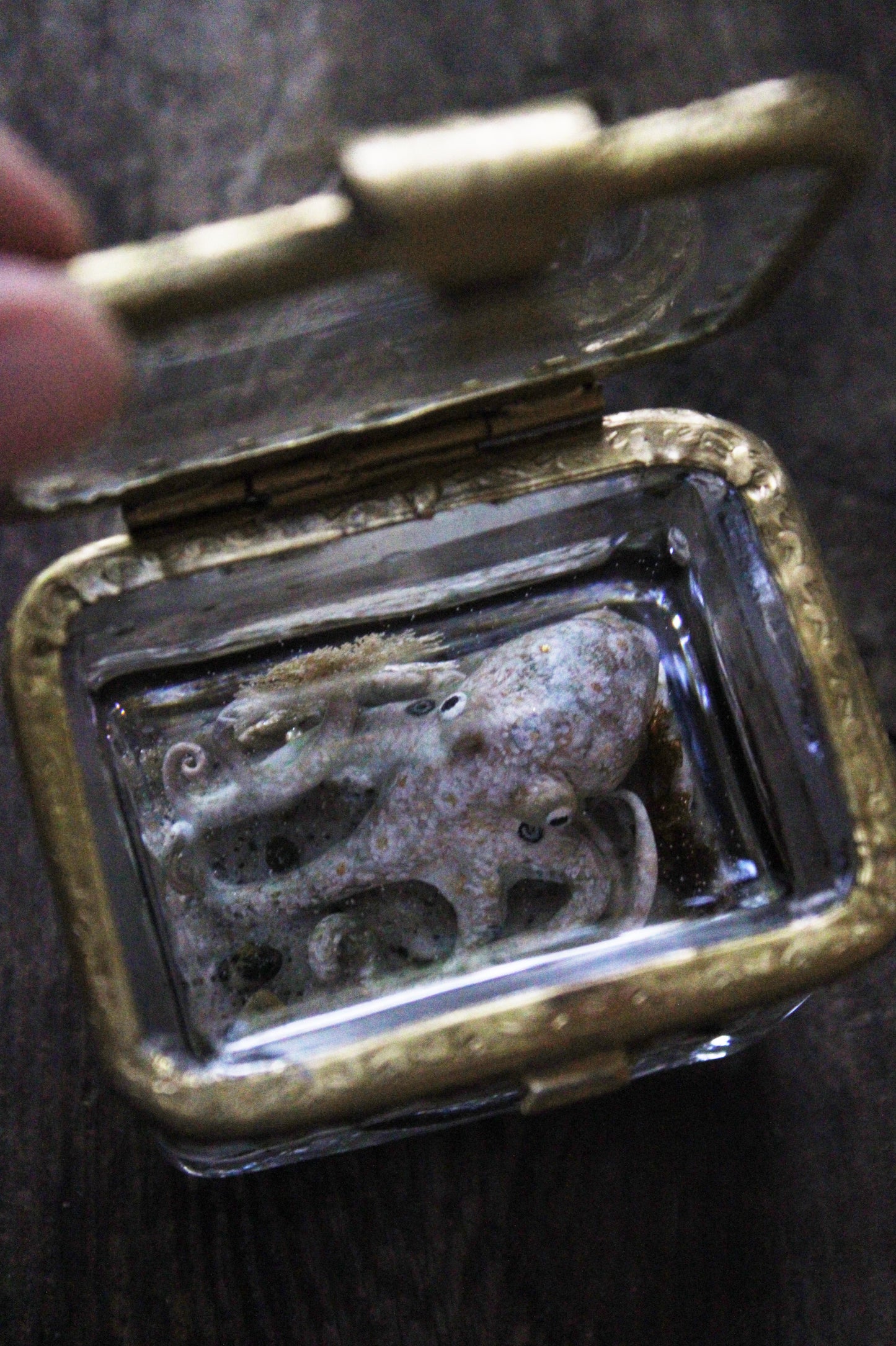 The Collector | Glass Shadowbox Sculpture