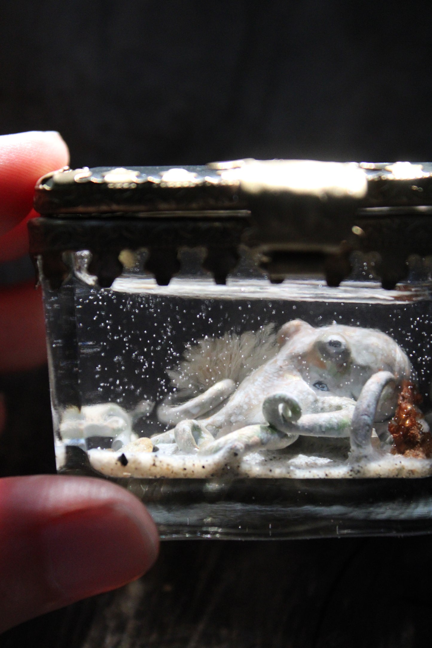 The Collector | Glass Shadowbox Sculpture