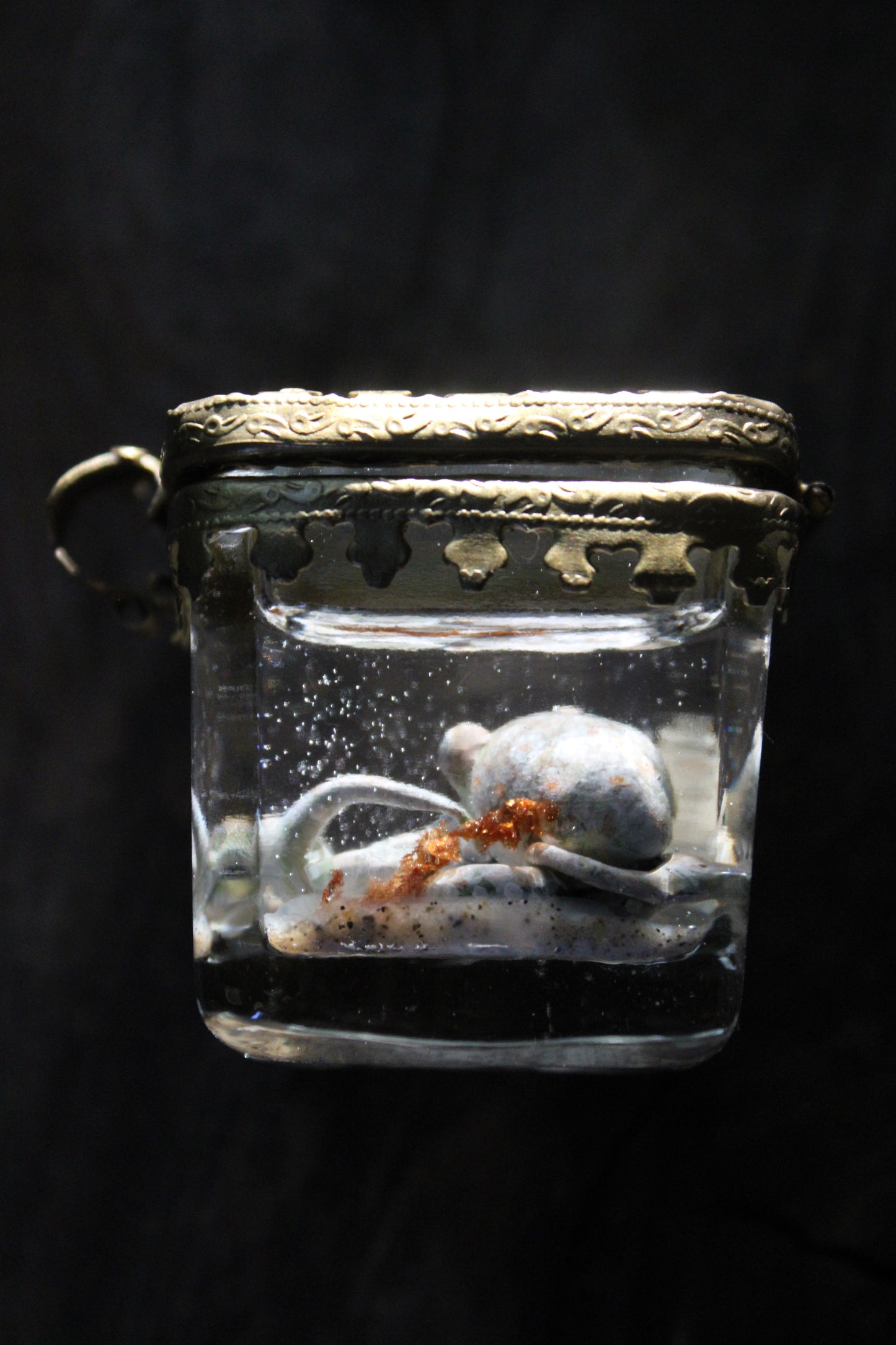 The Collector | Glass Shadowbox Sculpture