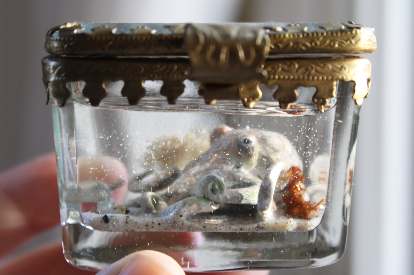 The Collector | Glass Shadowbox Sculpture