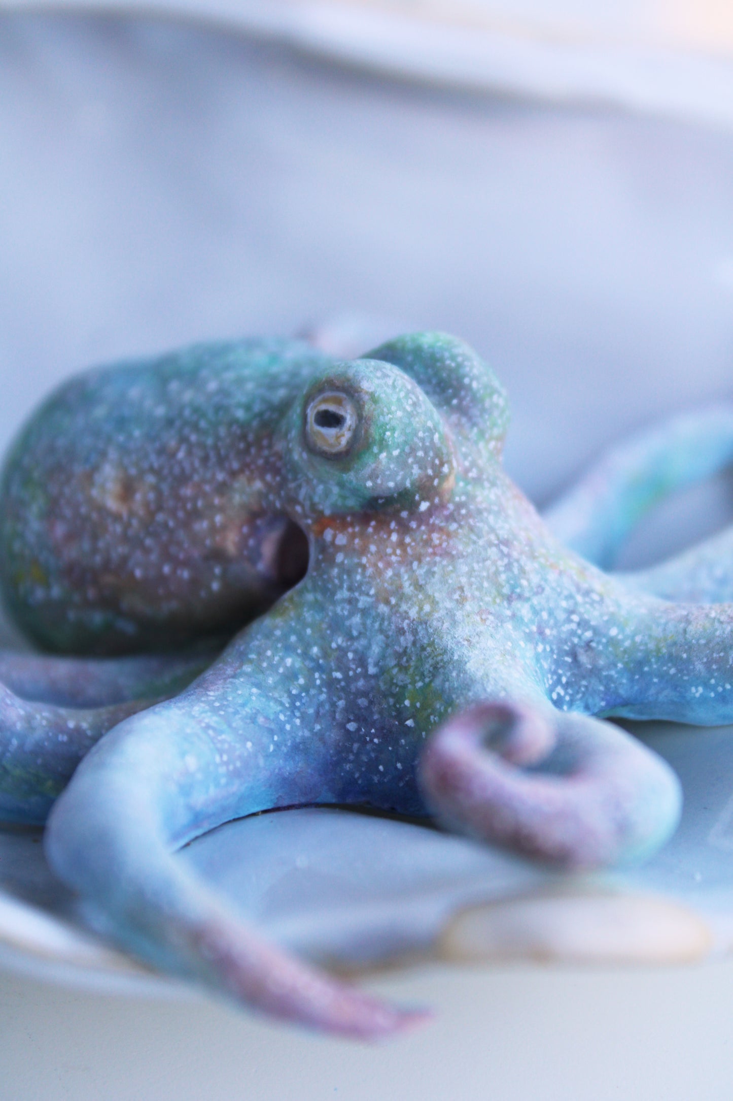 The Colors of the Ocean | Ceramic Shell Sculpture