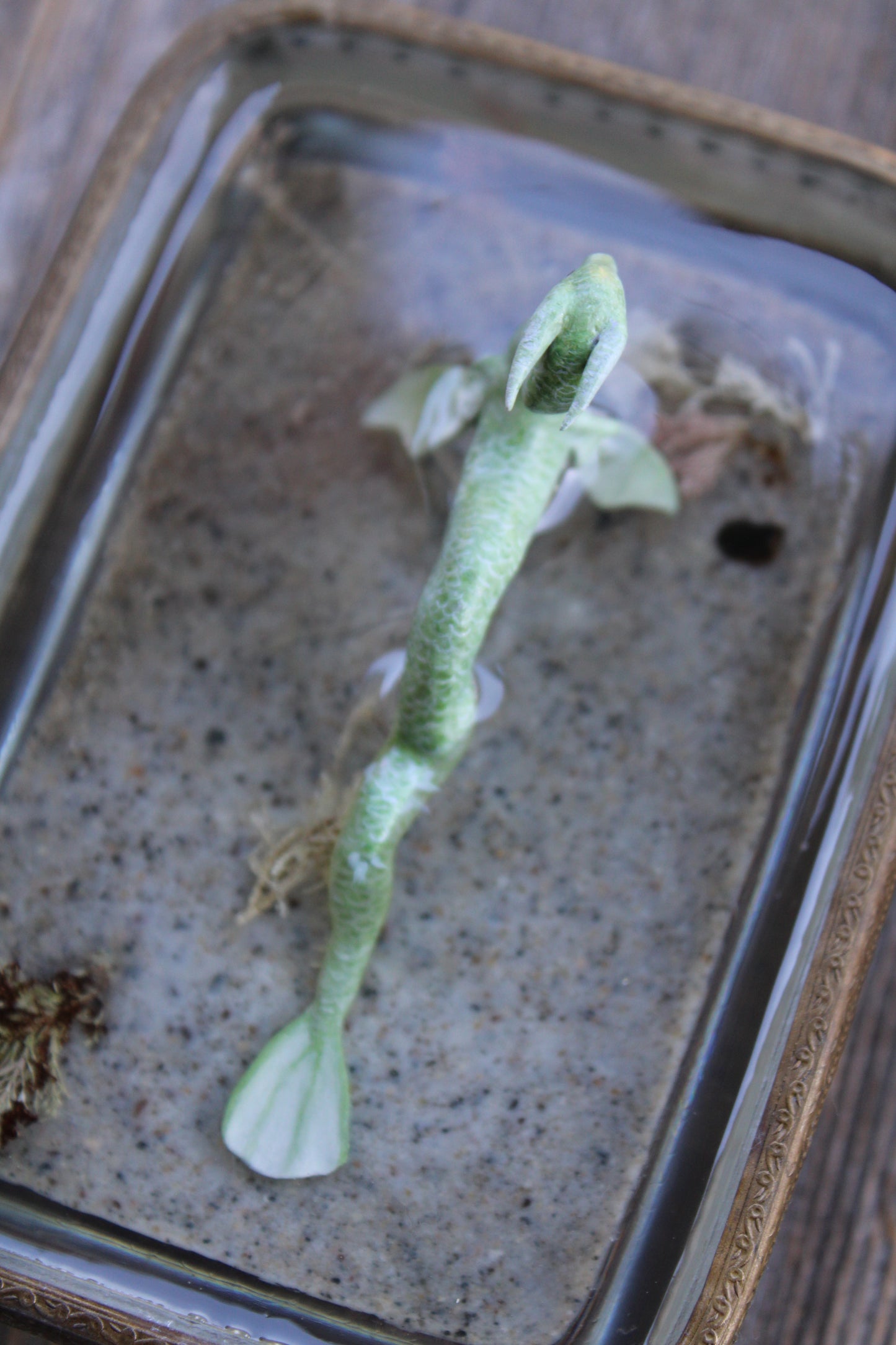 The Green Water Dragon | Glass Dish Sculpture